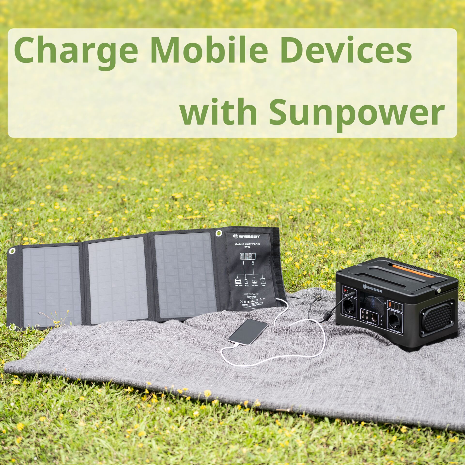 Gras, Pflanze, Elektronik, Handy, Rasen