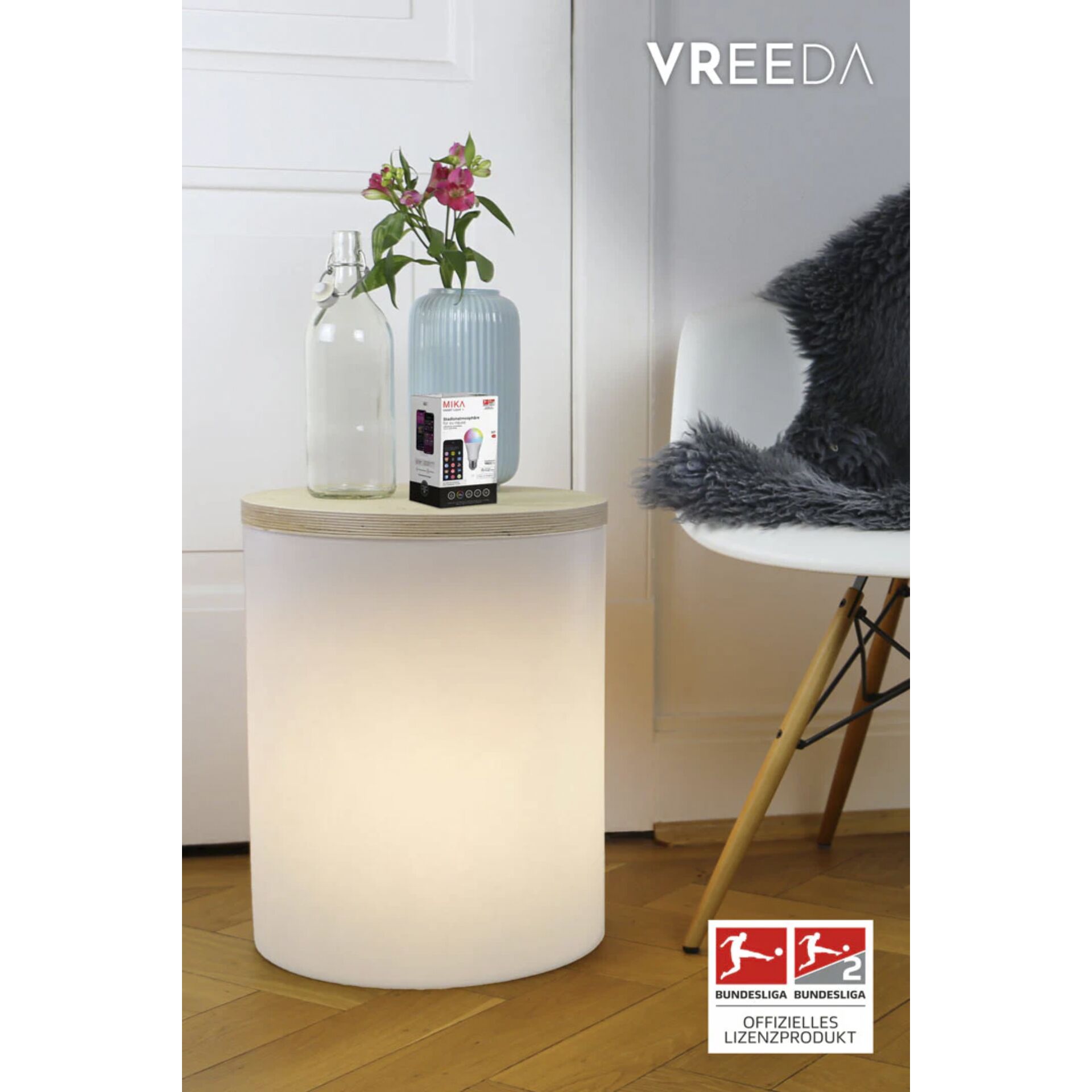 Topfpflanze, Krug, Innenarchitektur, Vase, Pflanzgefäß