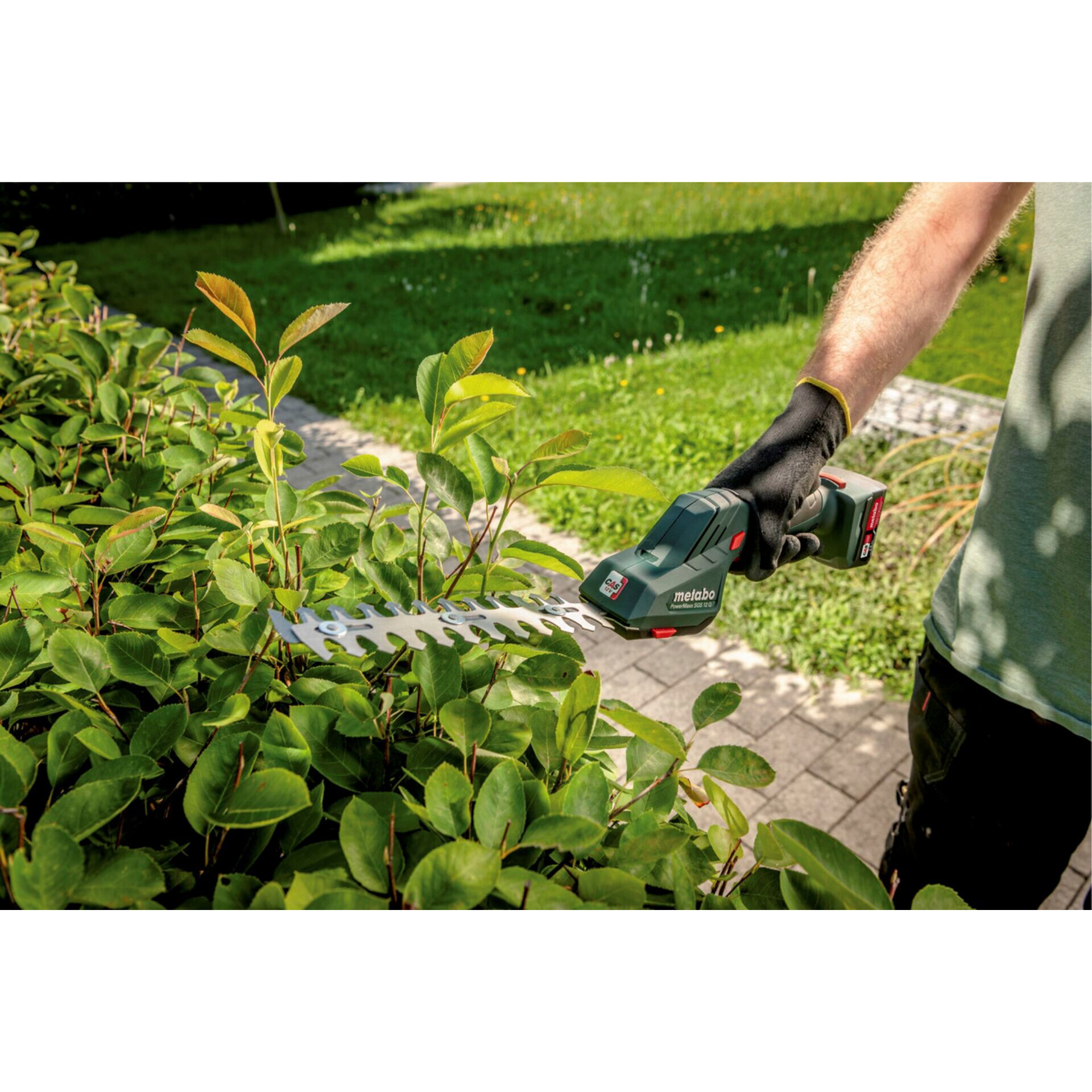 Gras, Garten, Natur, Gartenarbeit, Kräuter