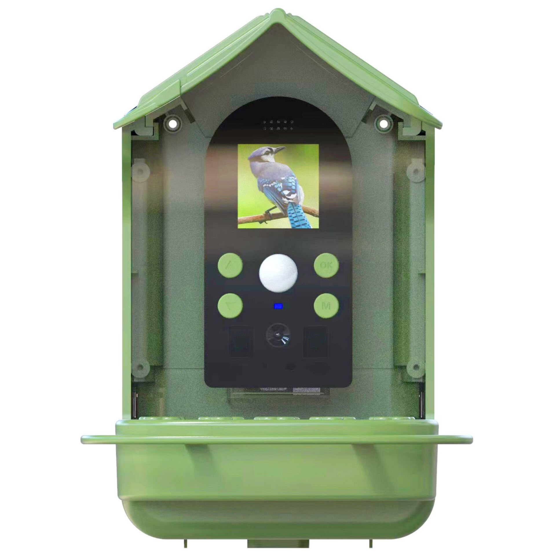 Tier, Vogel, Jay, Kiosk