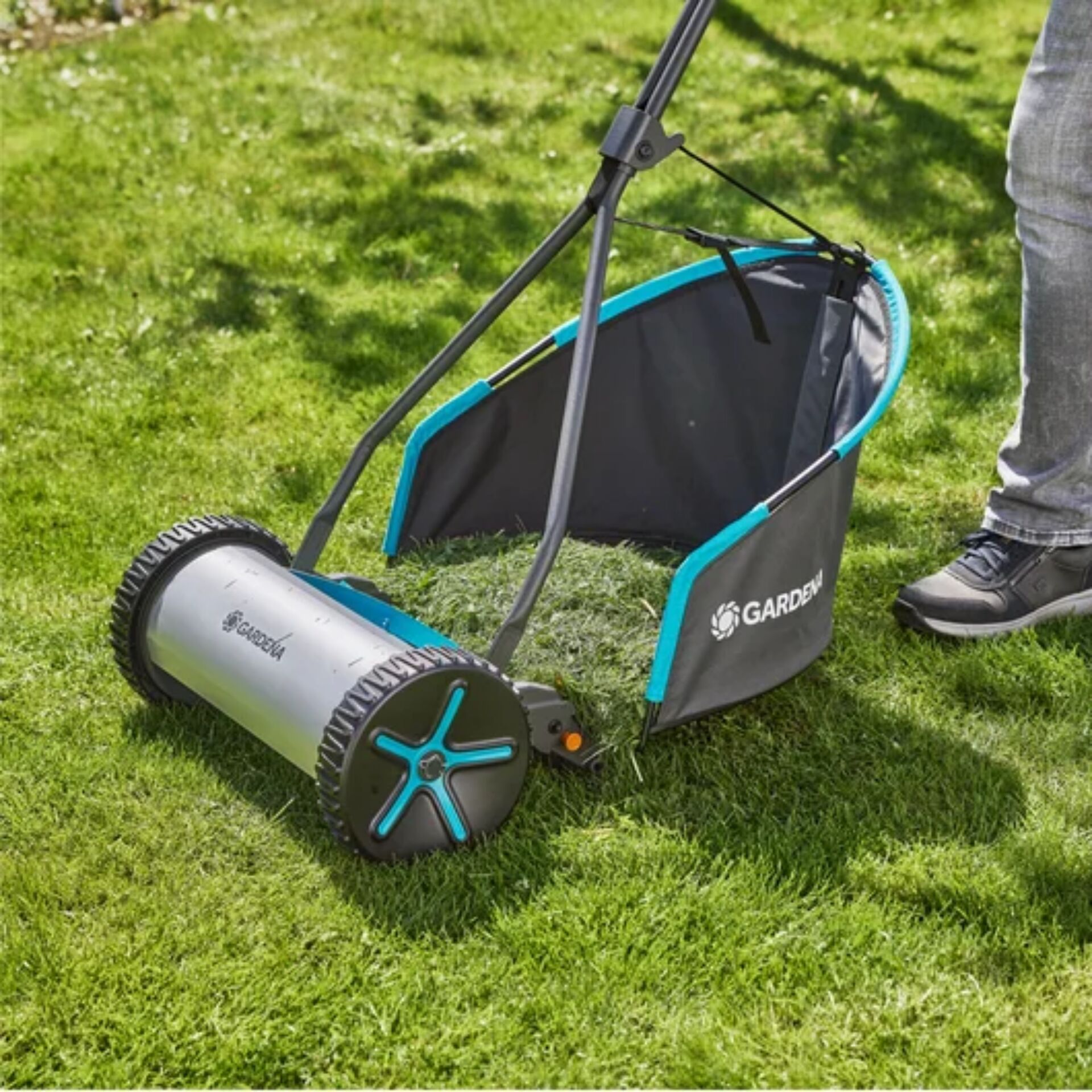 Gras, Rasen, Pflanze, Gerät, Rasenmäher