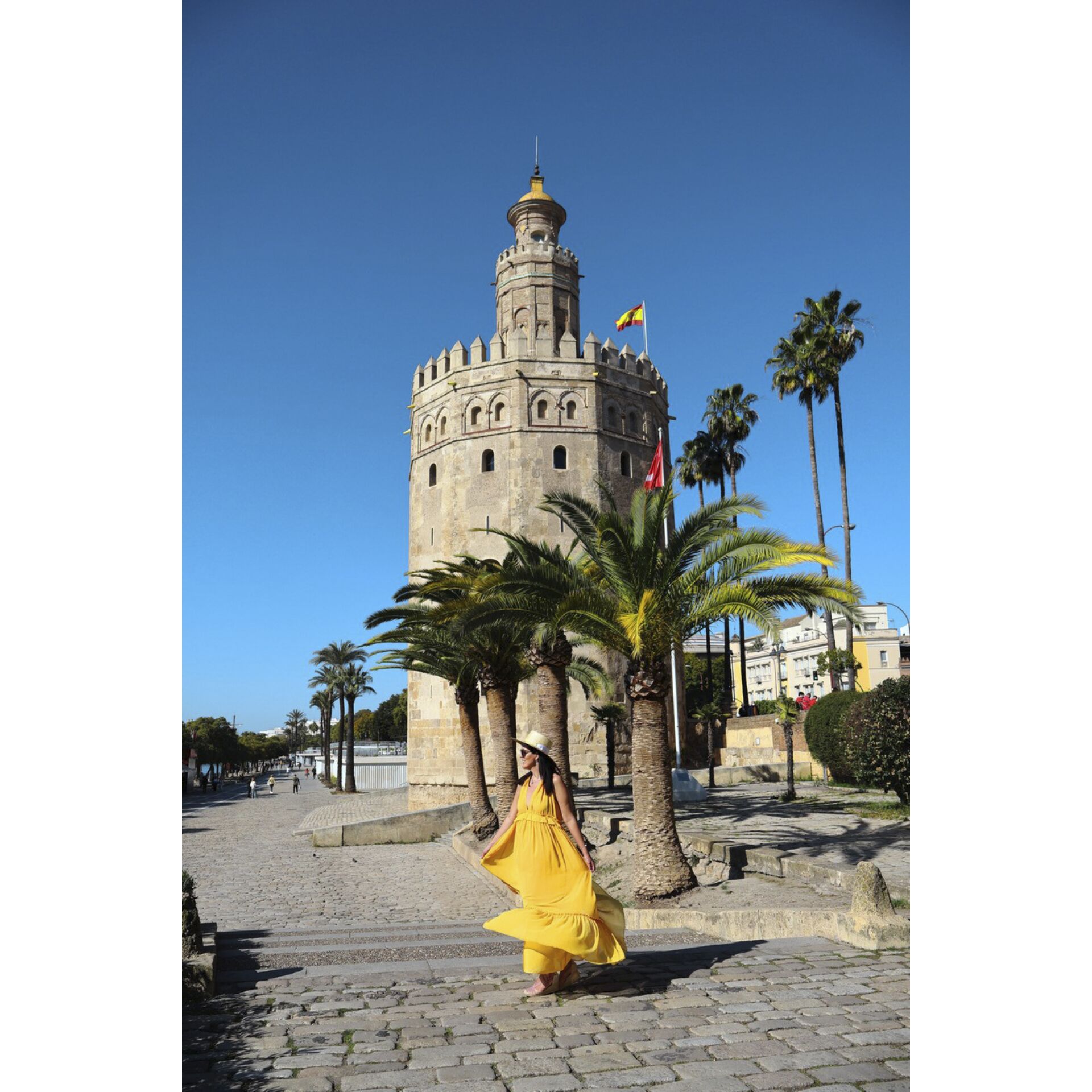 Palme, Baum, Erwachsener, Person, Frau