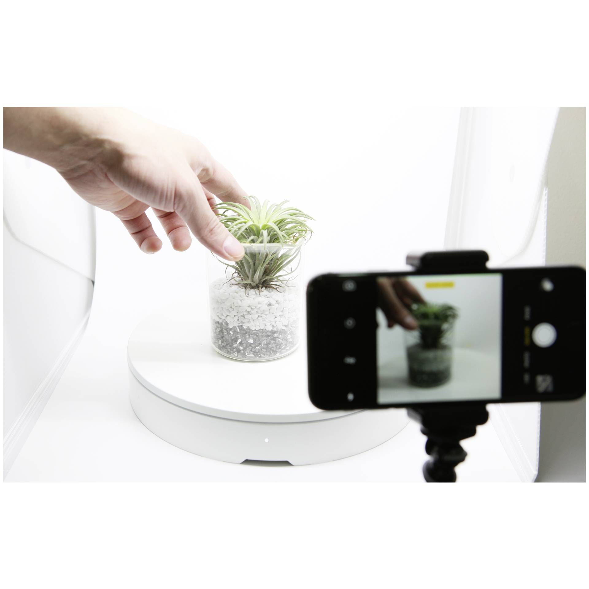 Photographie, Pflanze, Pflanze im Topf, Finger, Krug