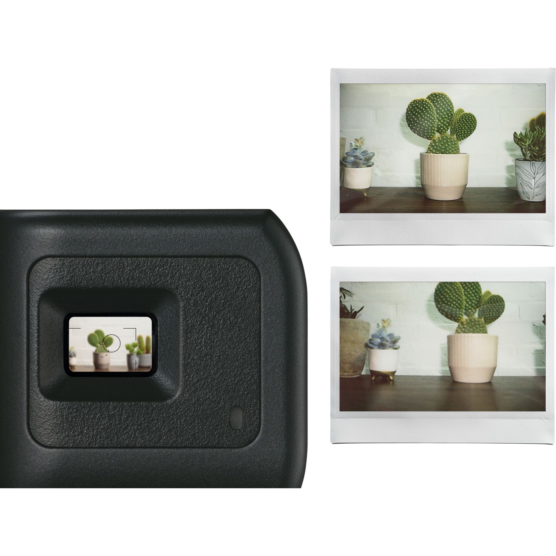 kamera, fotografie, pflanzen, pflanzenhalter, kaktus