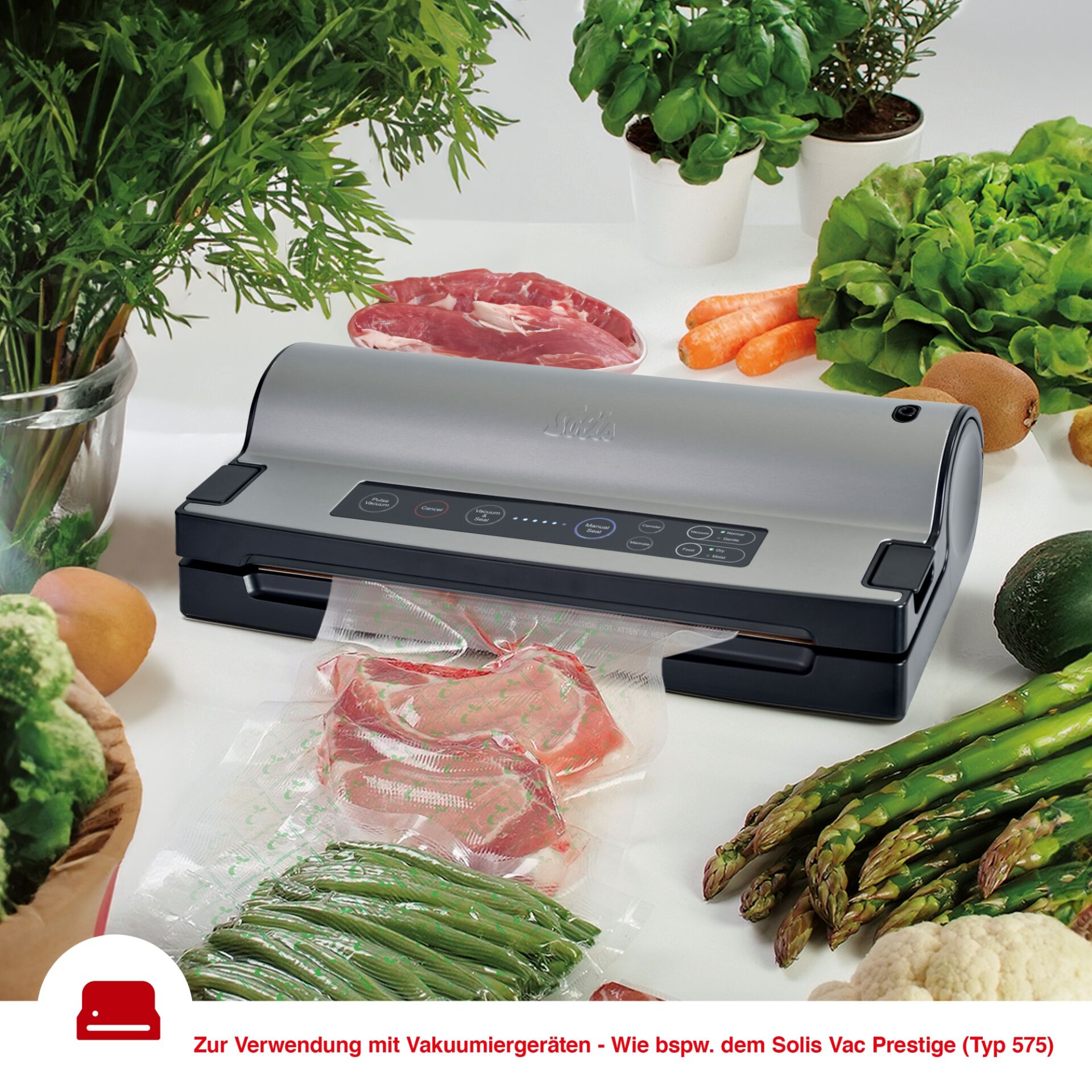 Computerausrüstung, Fleisch, Schwein, Pflanze