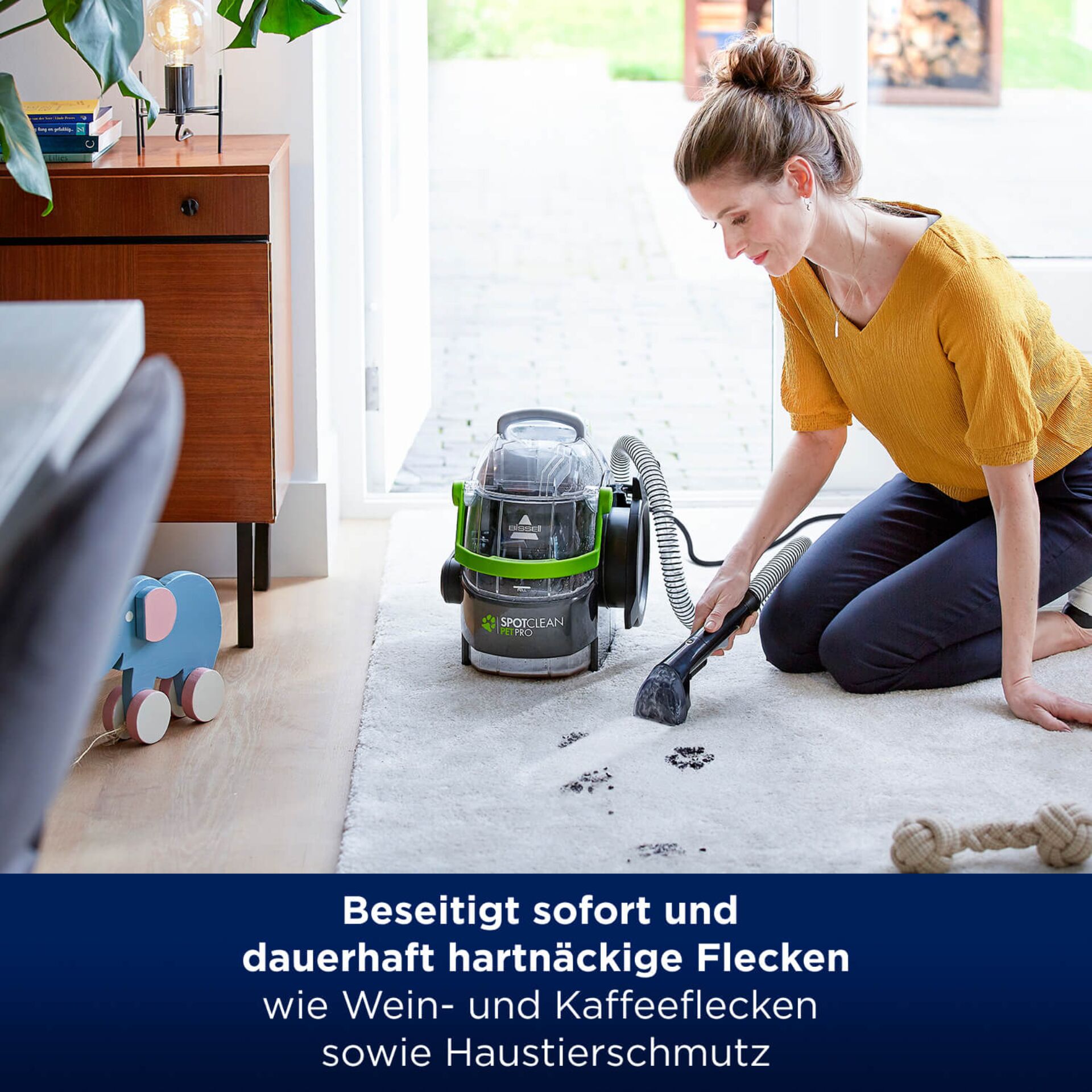 Reinigen, Person, Erwachsener, Weiblich, Frau