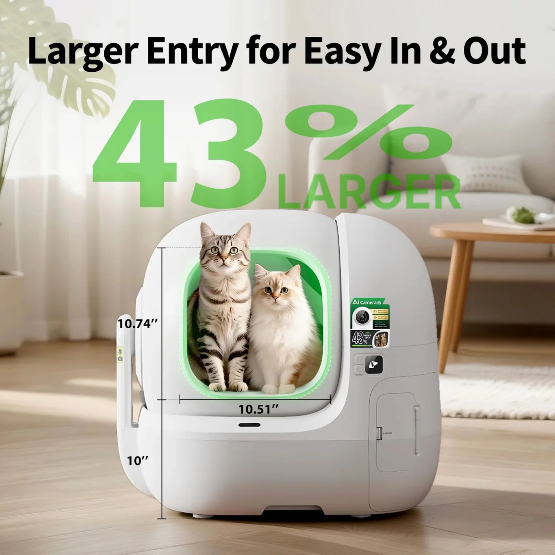 Computerausrüstung, Elektronik, Hardware, Katze, Haustier