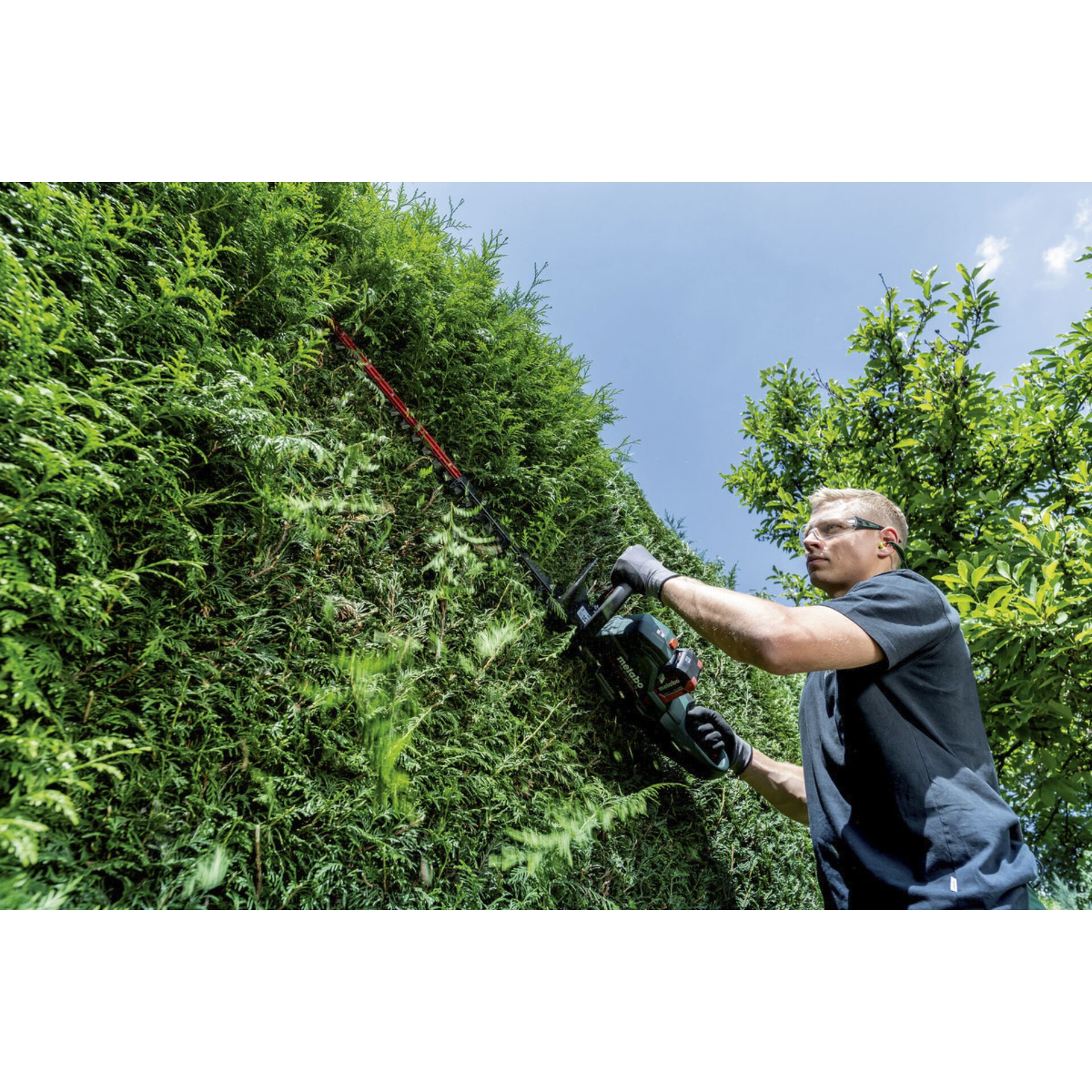 Hecke, Gras, Garten, Handschuh, Bewuchs