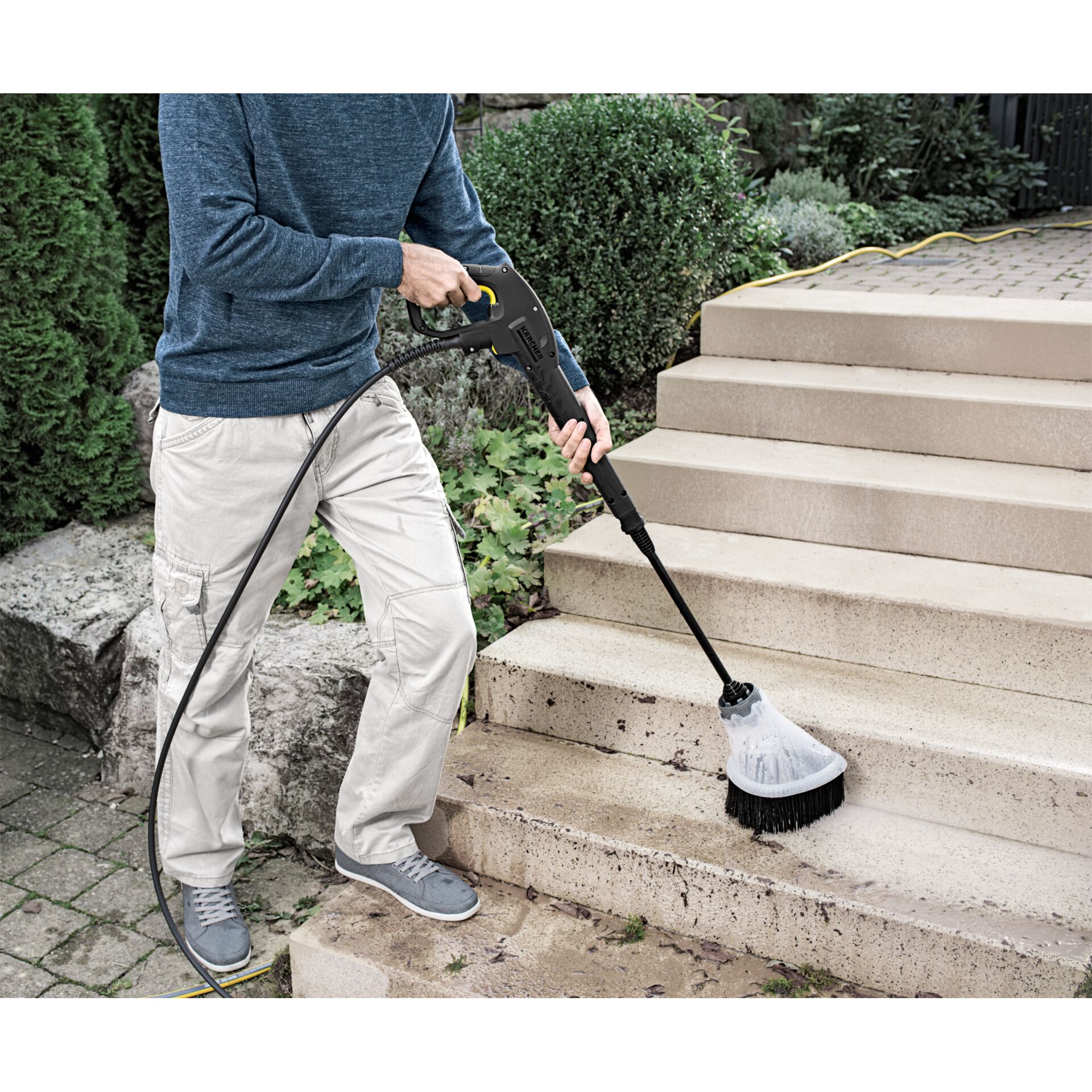 Drinnen, Innenarchitektur, Gras, Pflanze, Drinnen, Innenarchitektur, Gras, Pflanze