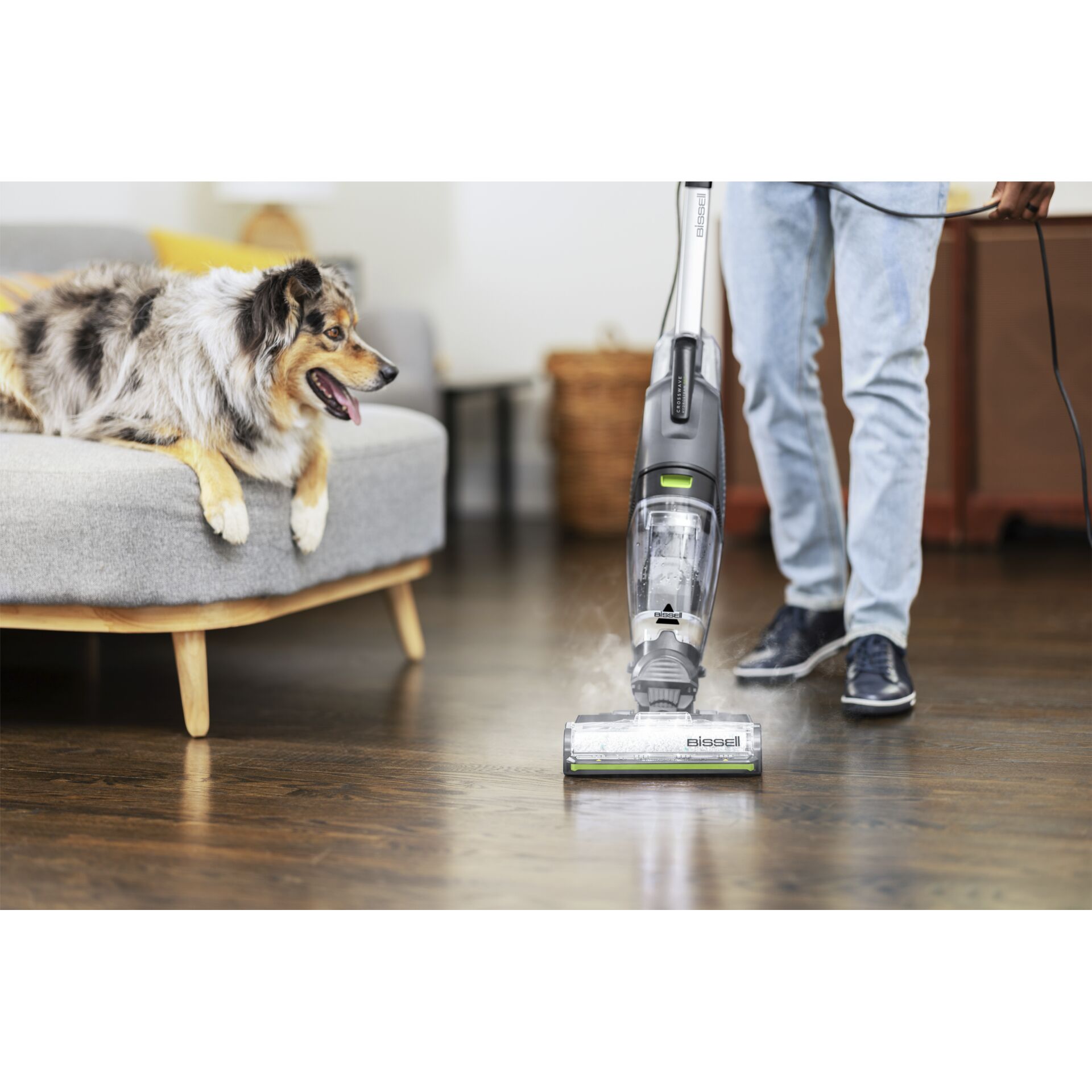 Drinnen, Innenarchitektur, Hund, Haustier, E-Scooter