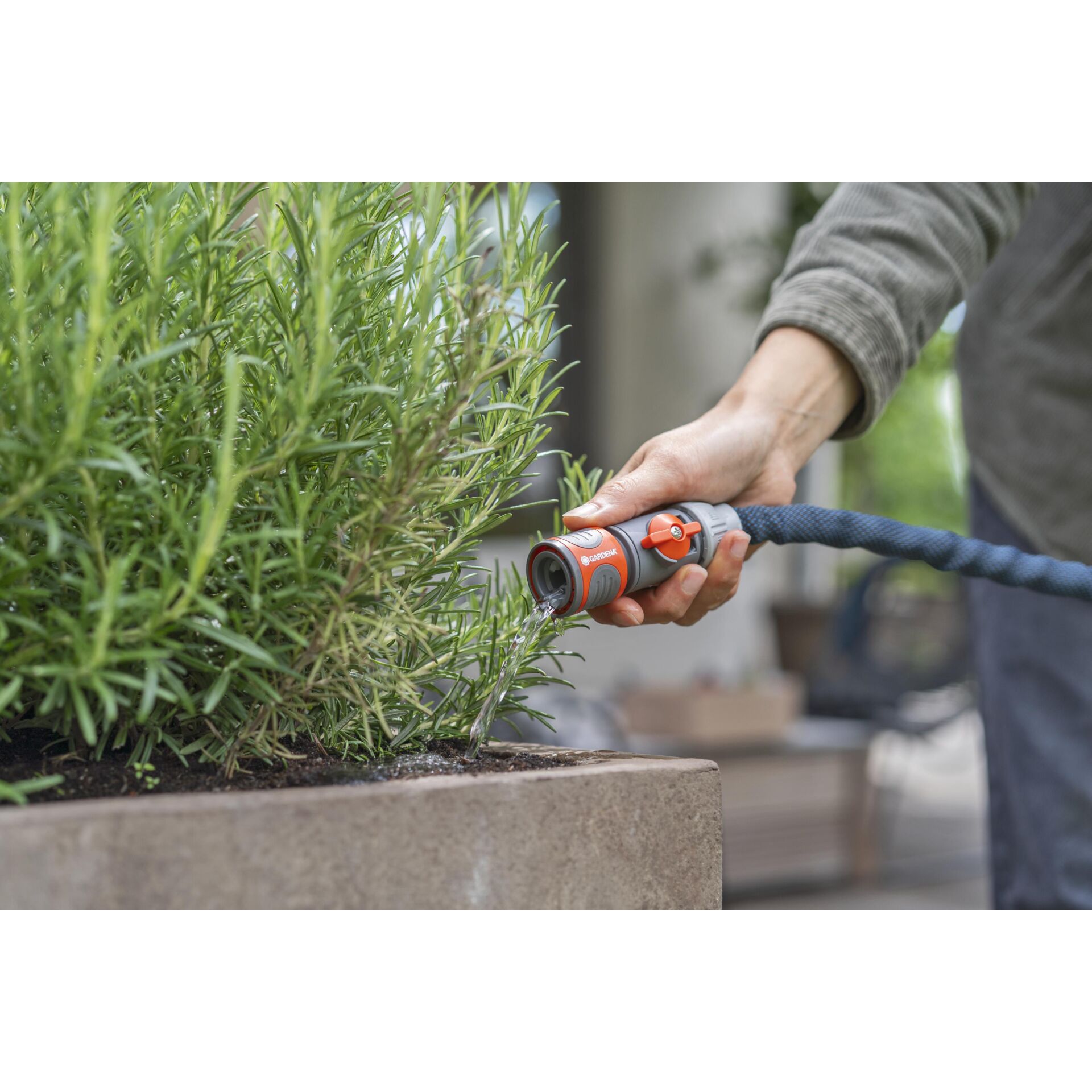 Garten, Draußen, Gartenarbeit, Innenarchitektur, Kräuterisch