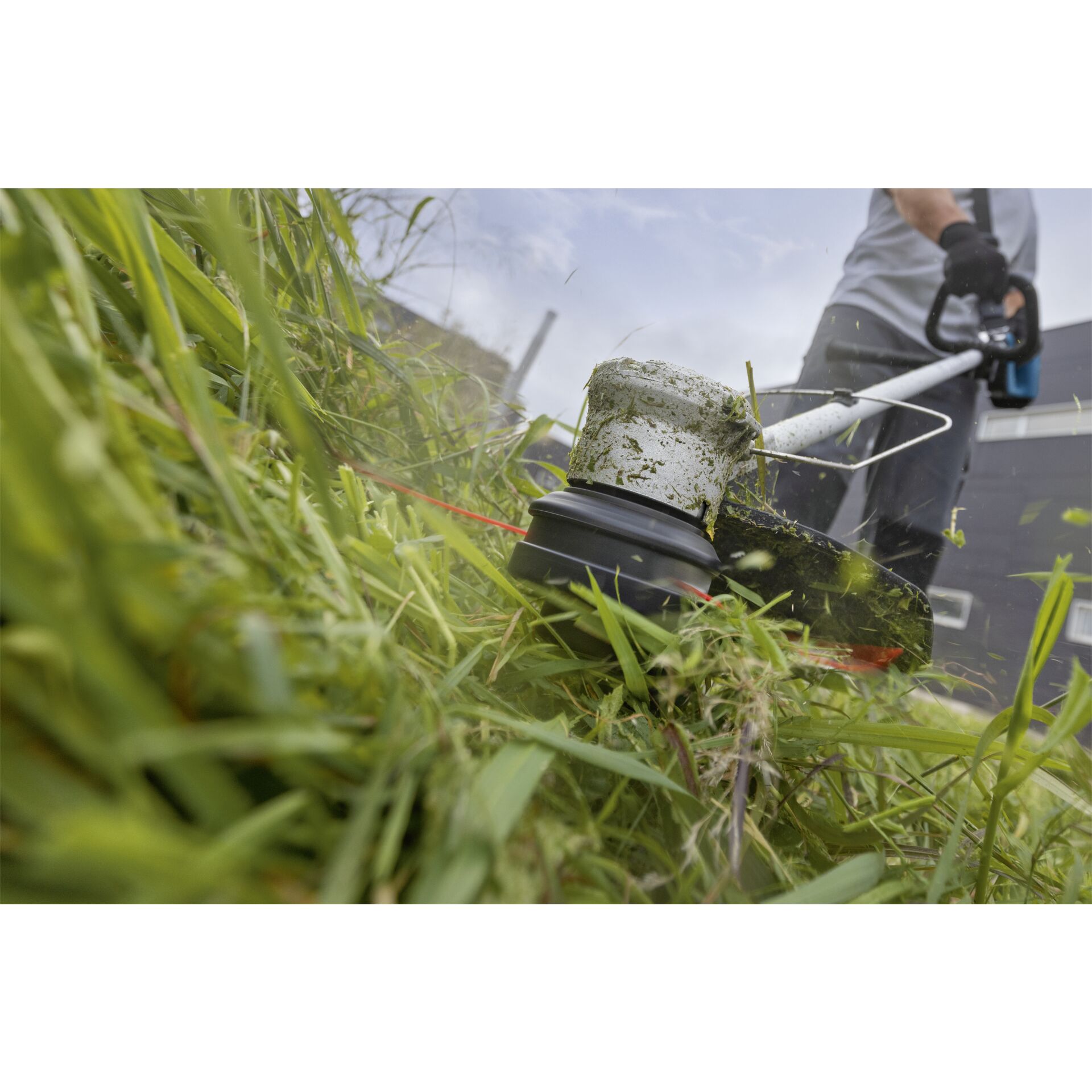 Gras, Rasen, Pflanze, Gerät, Handschuh