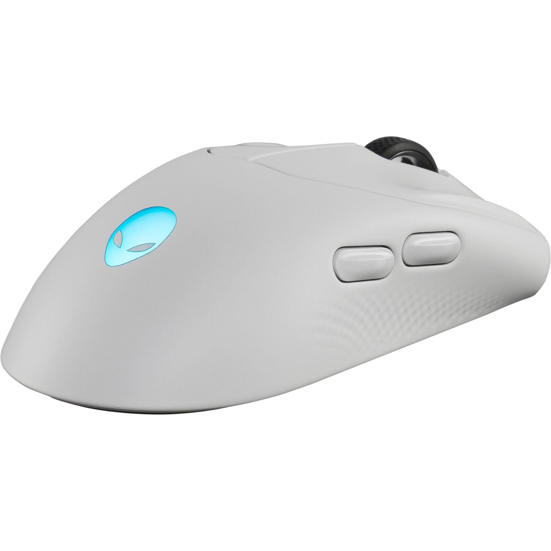 Computerausrüstung, Elektronik, Hardware, Maus, Computerausrüstung, Elektronik, Hardware, Maus, Rad