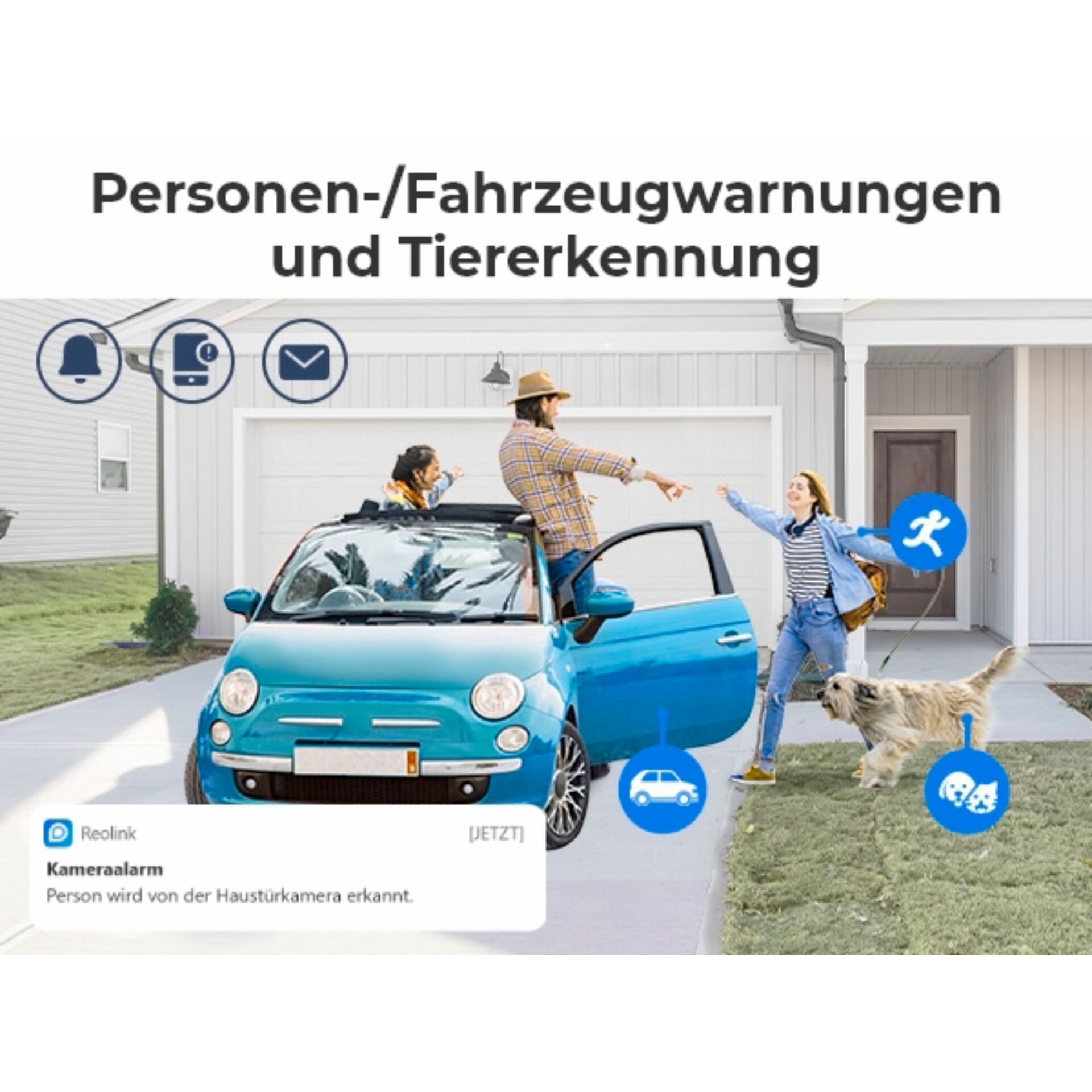 Auto, Fahrzeug, Person, Hund, Rad