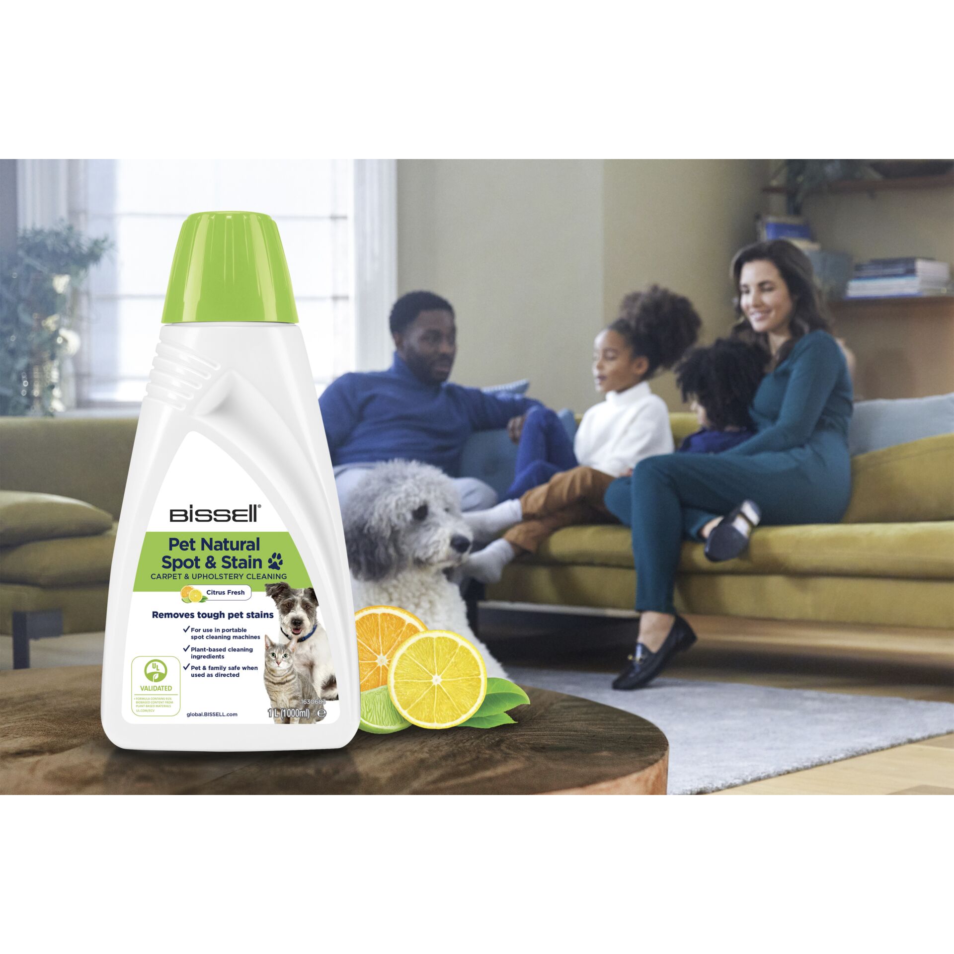 Couch, Wohnzimmer, Person, Erwachsener, Mann