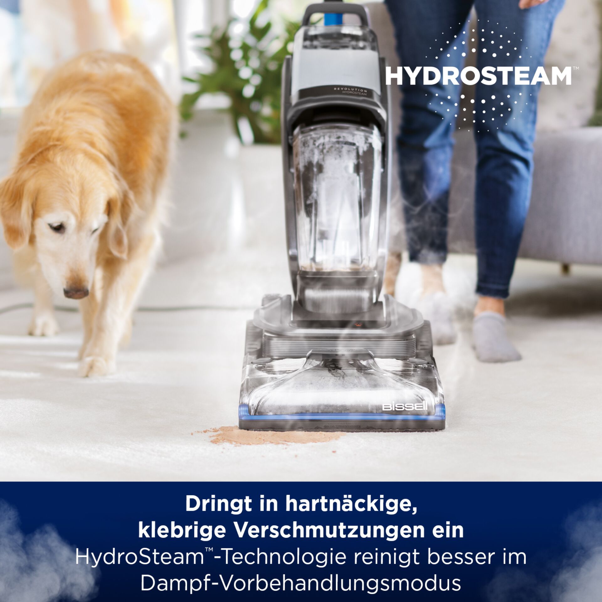 Hund, Gerät, Elektrisches Gerät, Socke