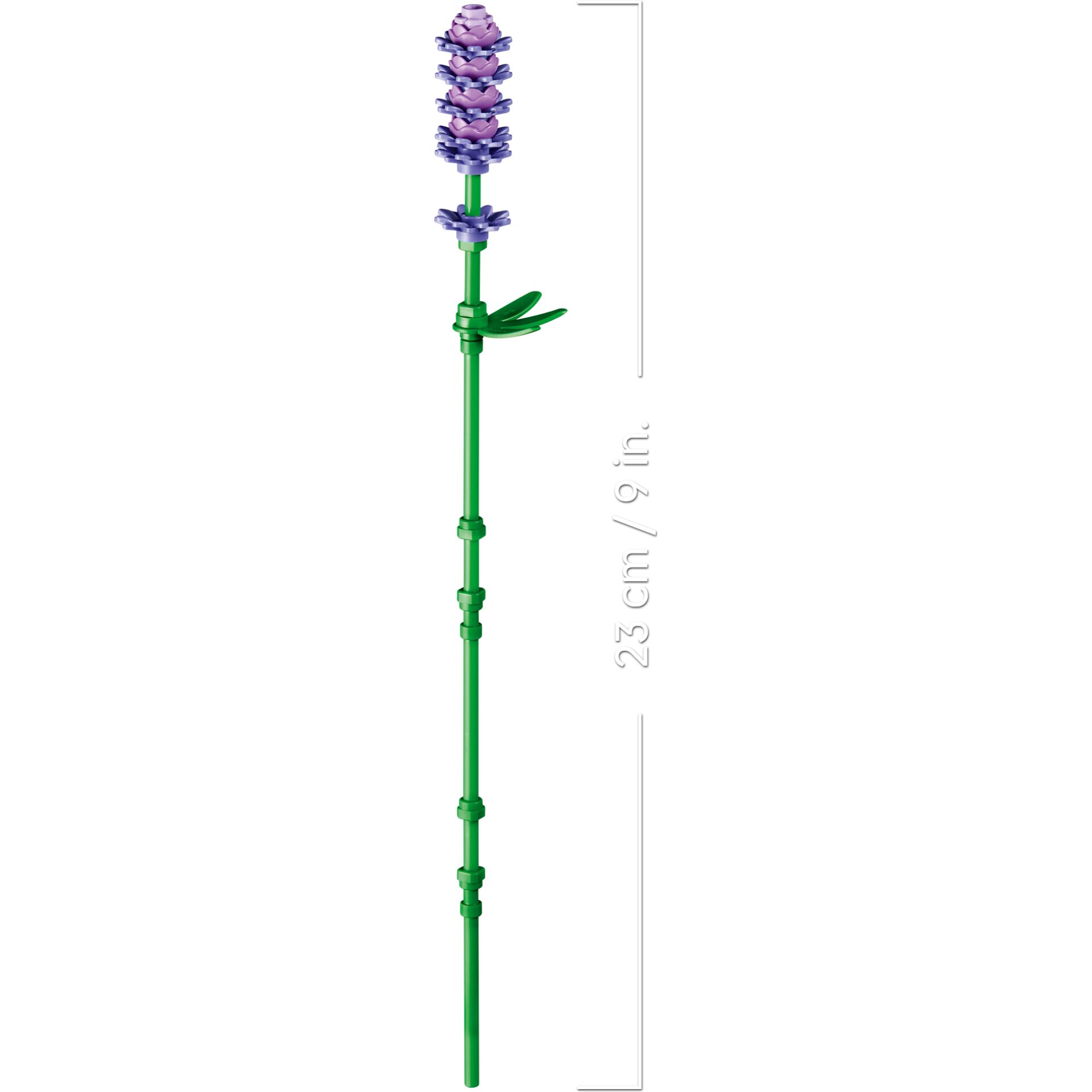 Gras, Pflanze, Blume, Lavendel, Lupine