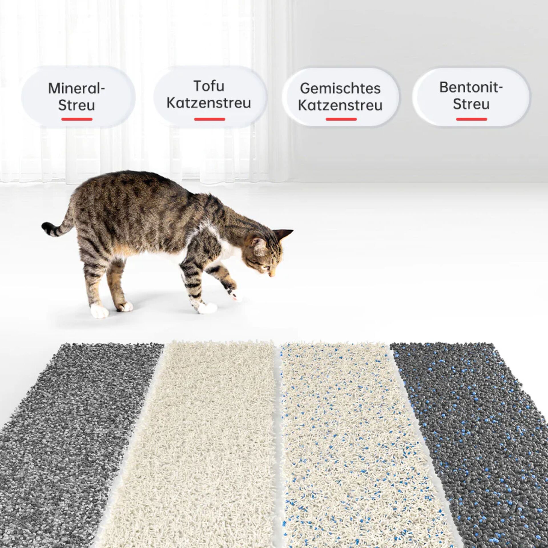 Dekoration für Zuhause, Katze, Säugetier, Haustier, Teppich