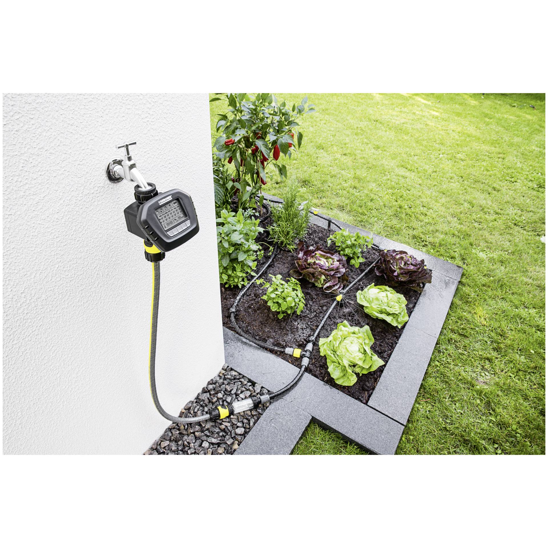 Gras, Innenarchitektur, Hinterhof, Topfpflanze, Garten