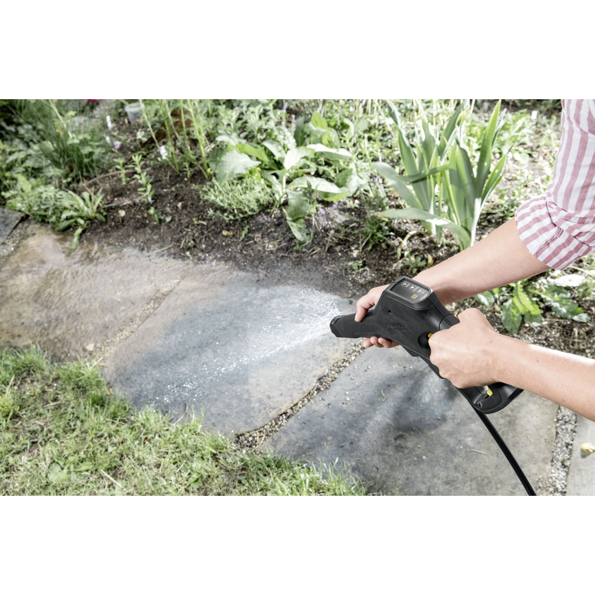 Gras, Garten, Draußen, Boden, Innenarchitektur