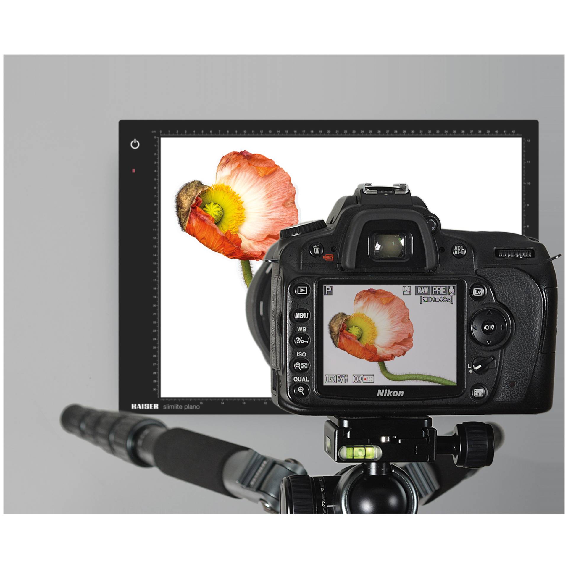 Photographie, Kamera, Elektronik, Videokamera, Digitale Kamera