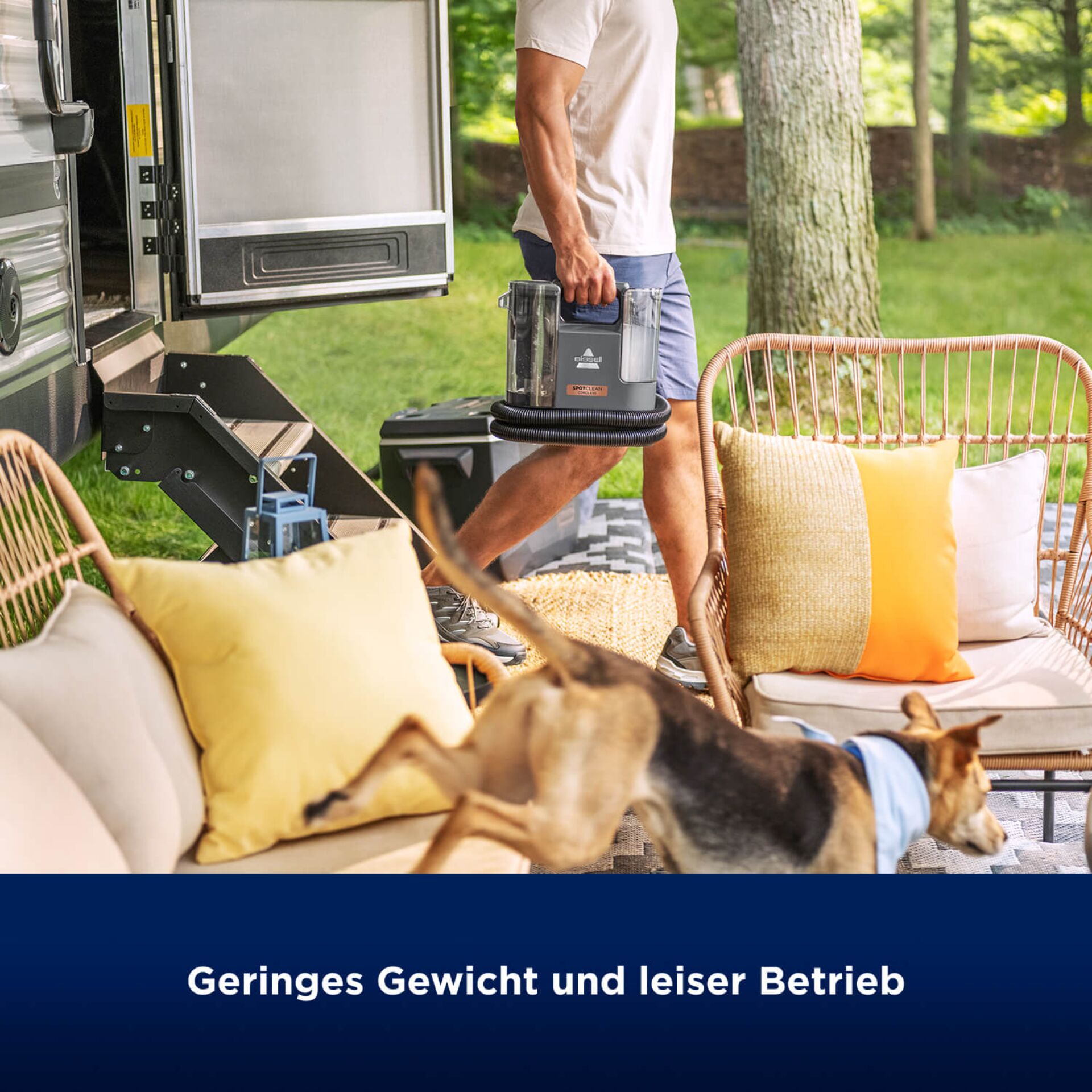 Kissen, Dekoration für Zuhause, Hund, Säugetier, Haustier