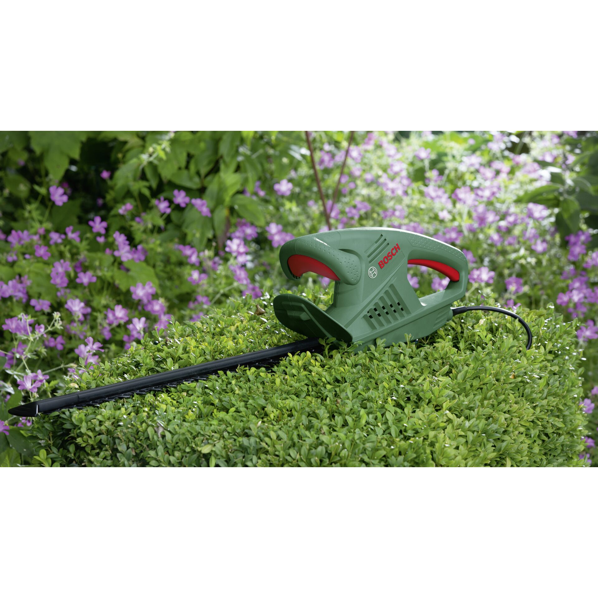 Gras, Pflanze, Rasen, Gerät