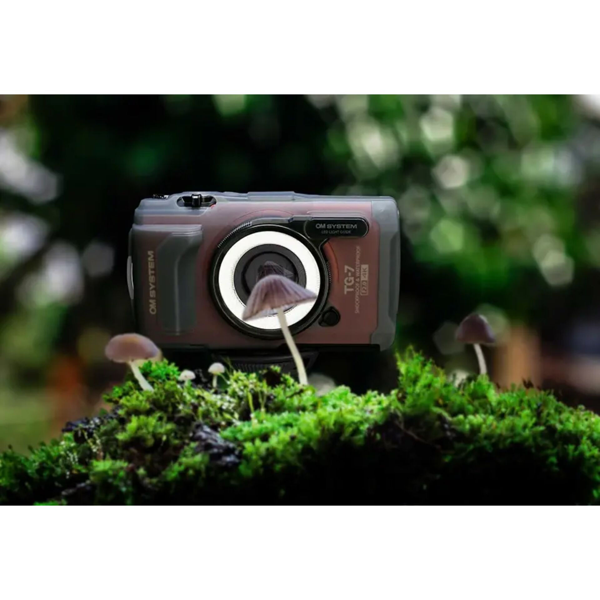 Photographie, Kamera, Elektronik