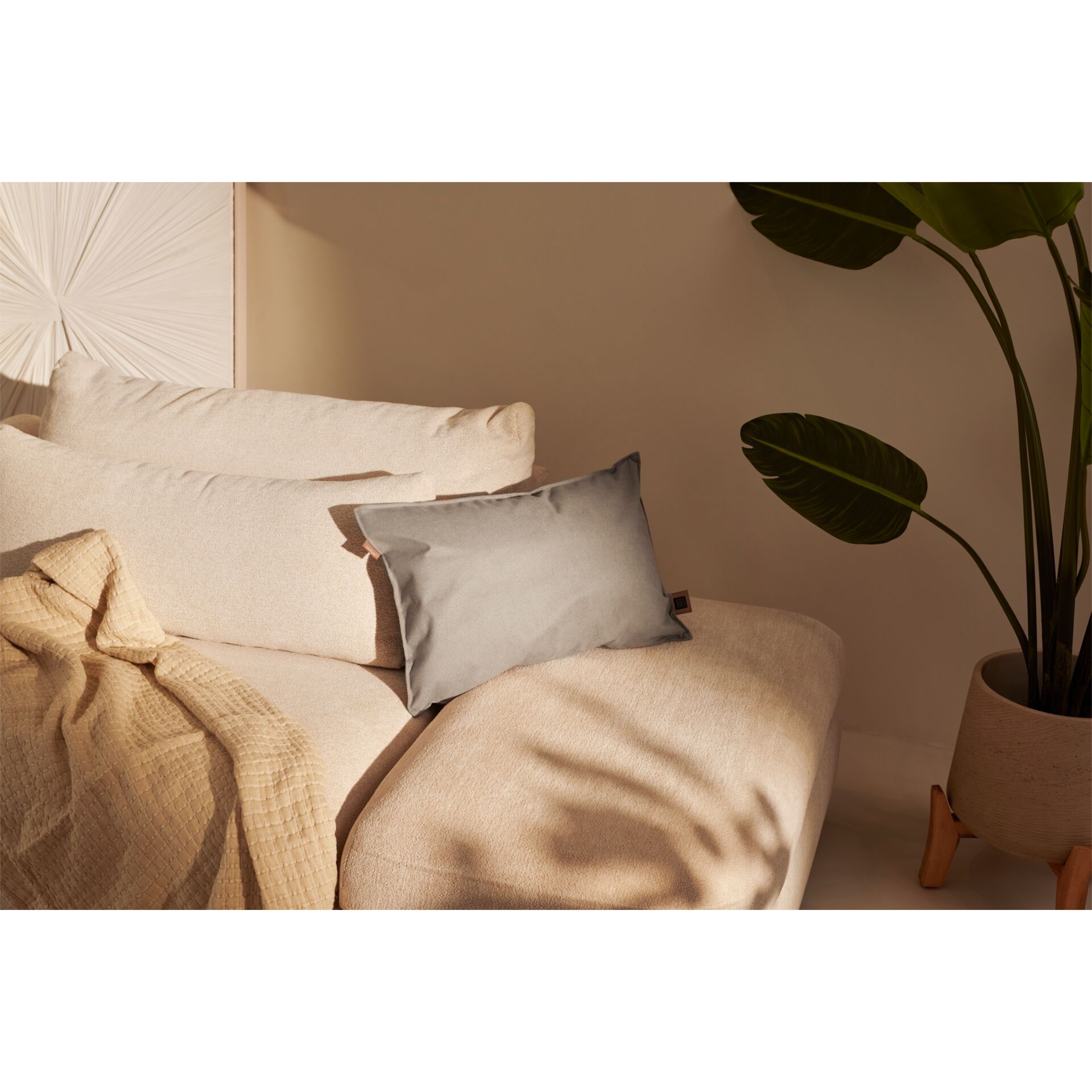 Sofa, Kissen, Decke, Wanddeko, Topfpflanze