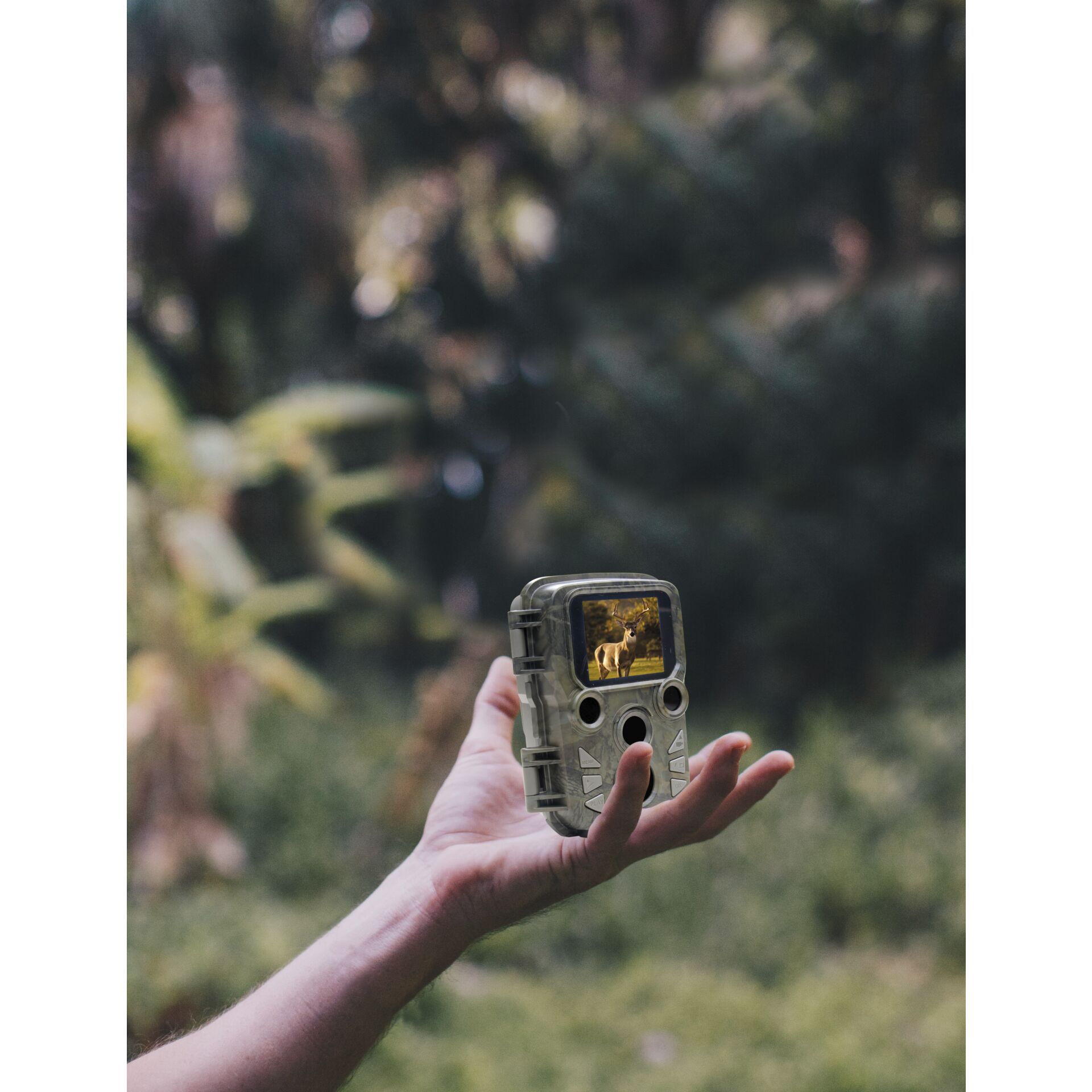 Finger, Hand, Person, Photographie, Innenarchitektur