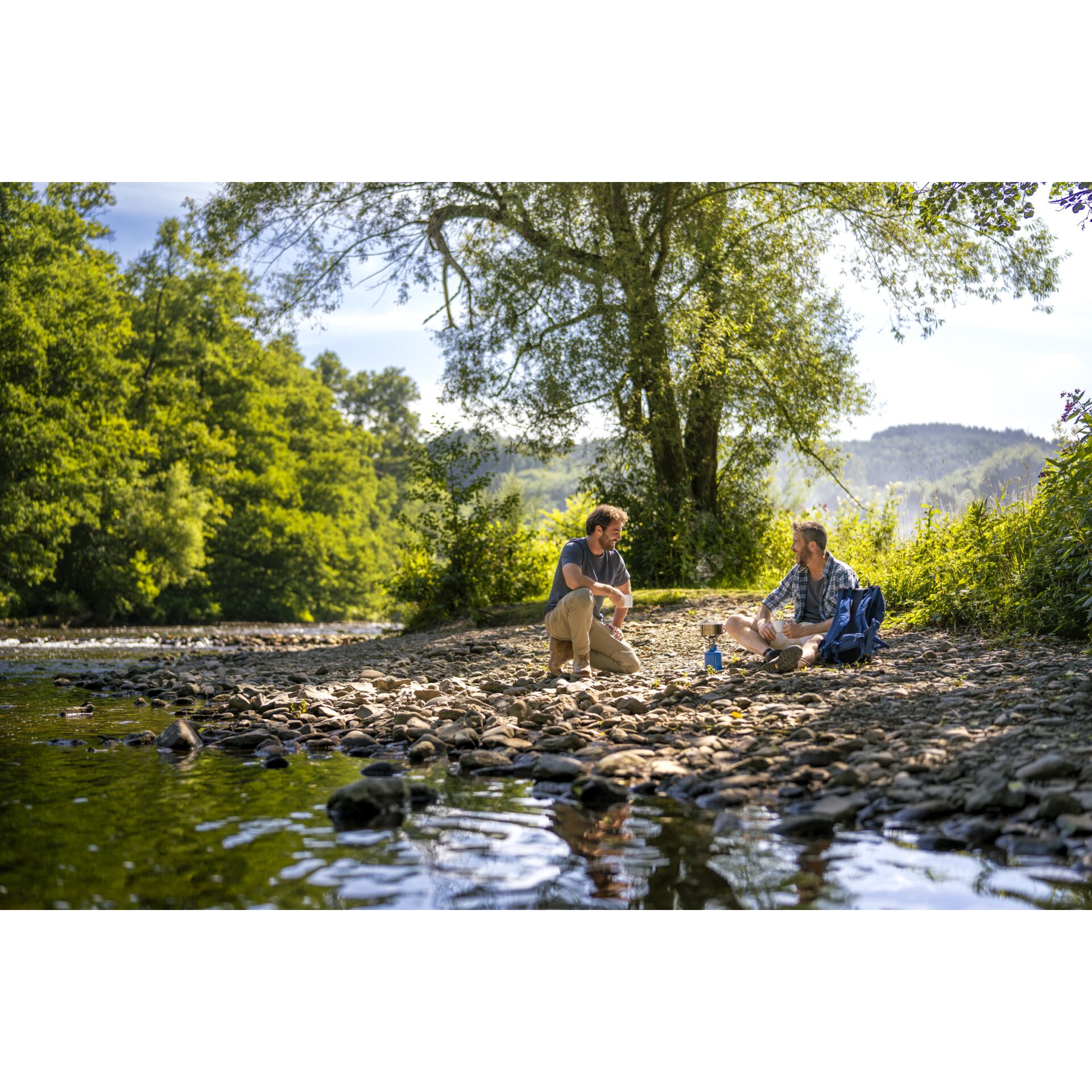 Pflanzenwuchs, Wildnis, Fels, Baum, Wald