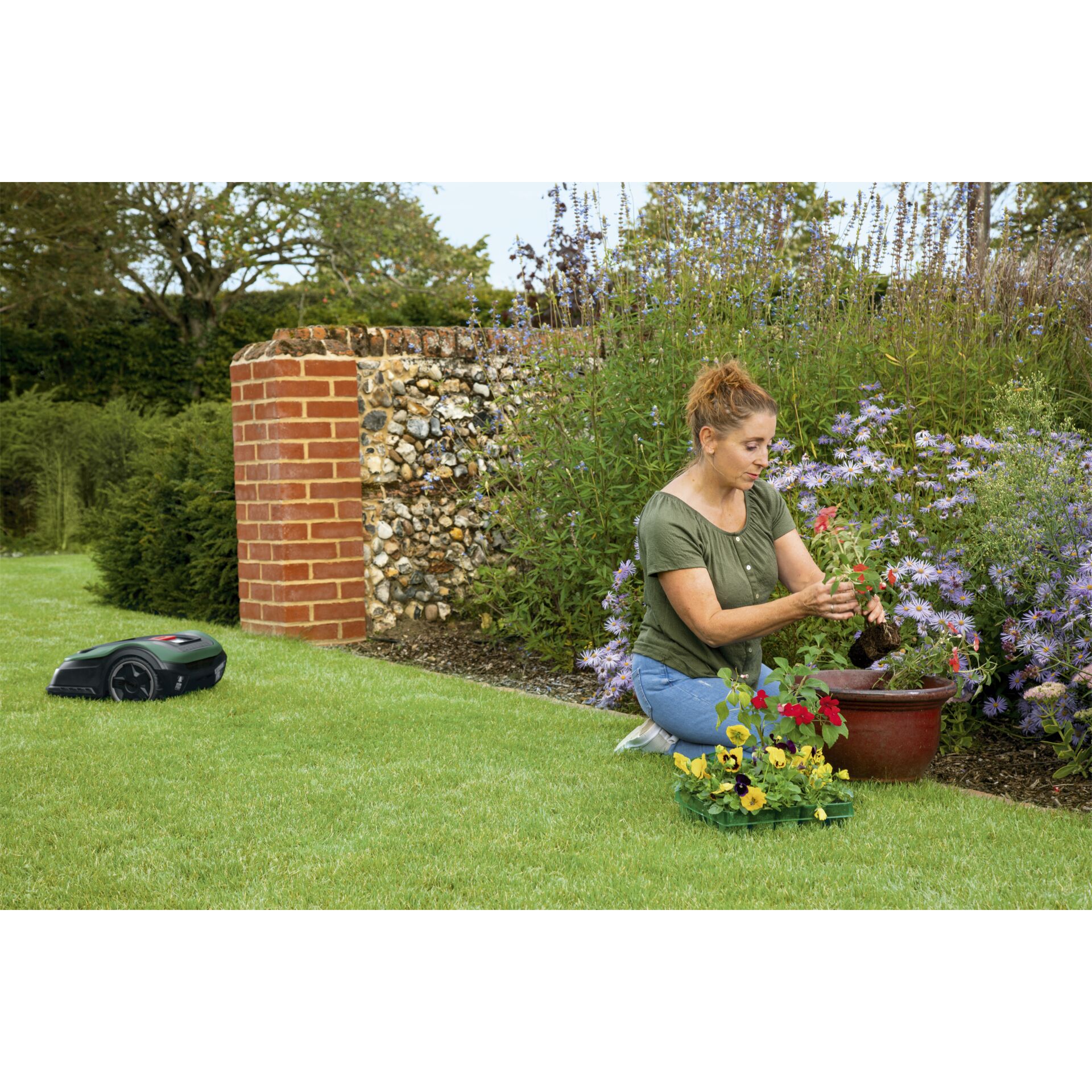 Garten, Gras, Natur, Rasen, Gartenarbeit