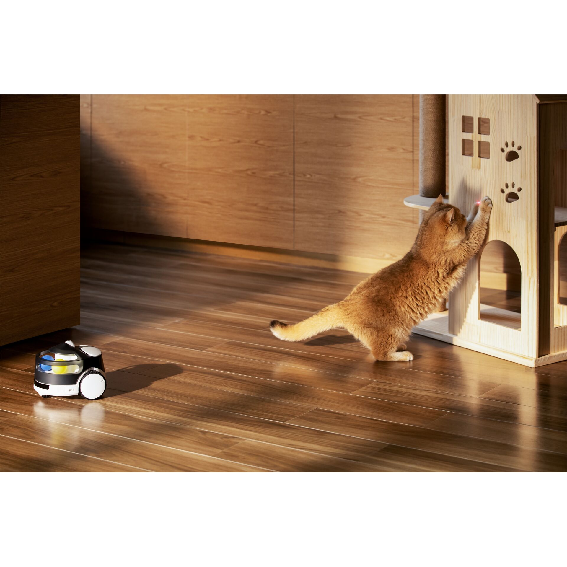 Innenarchitektur, Holz, Hartholz, Fußboden, Bodenbeläge, Innenarchitektur, Holz, Hartholz, Fußboden, Bodenbeläge