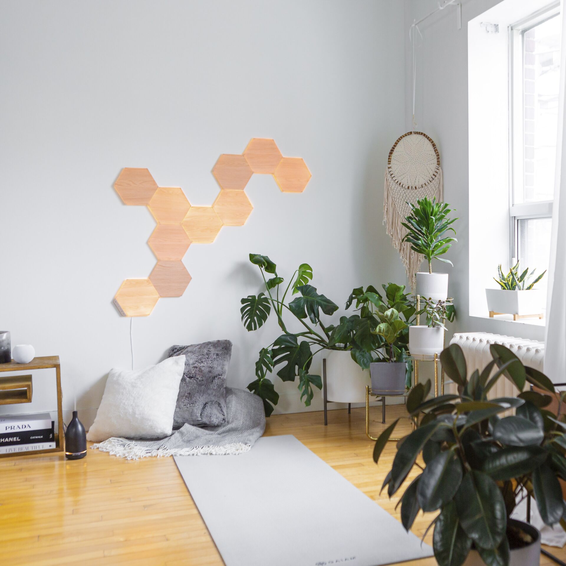 Innenarchitektur, Inneneinrichtung, Pflanze, Wohnzimmer, Topfpflanze