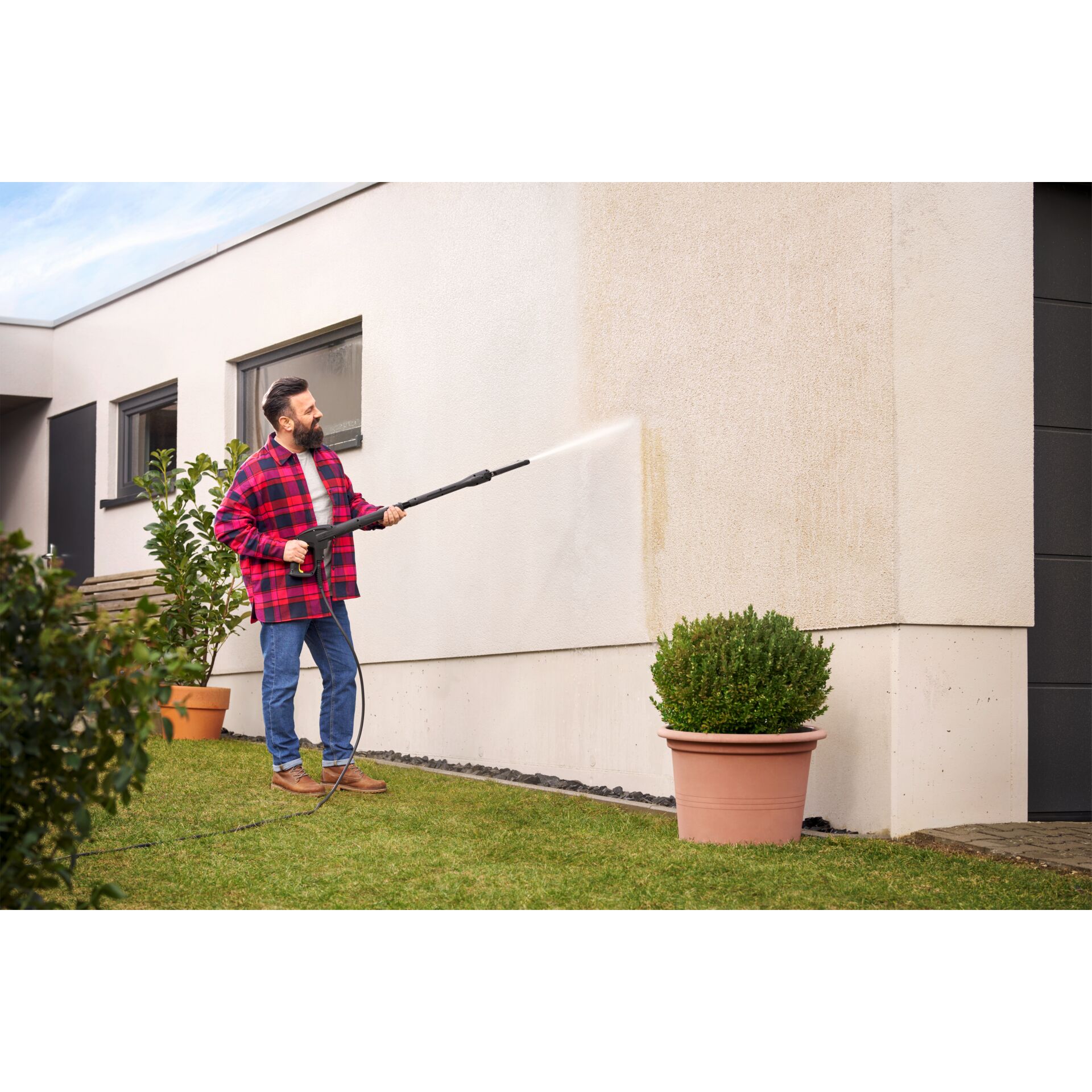 Innenarchitektur, Pflanze im Topf, Gras, Pflanzgefäß, Garten