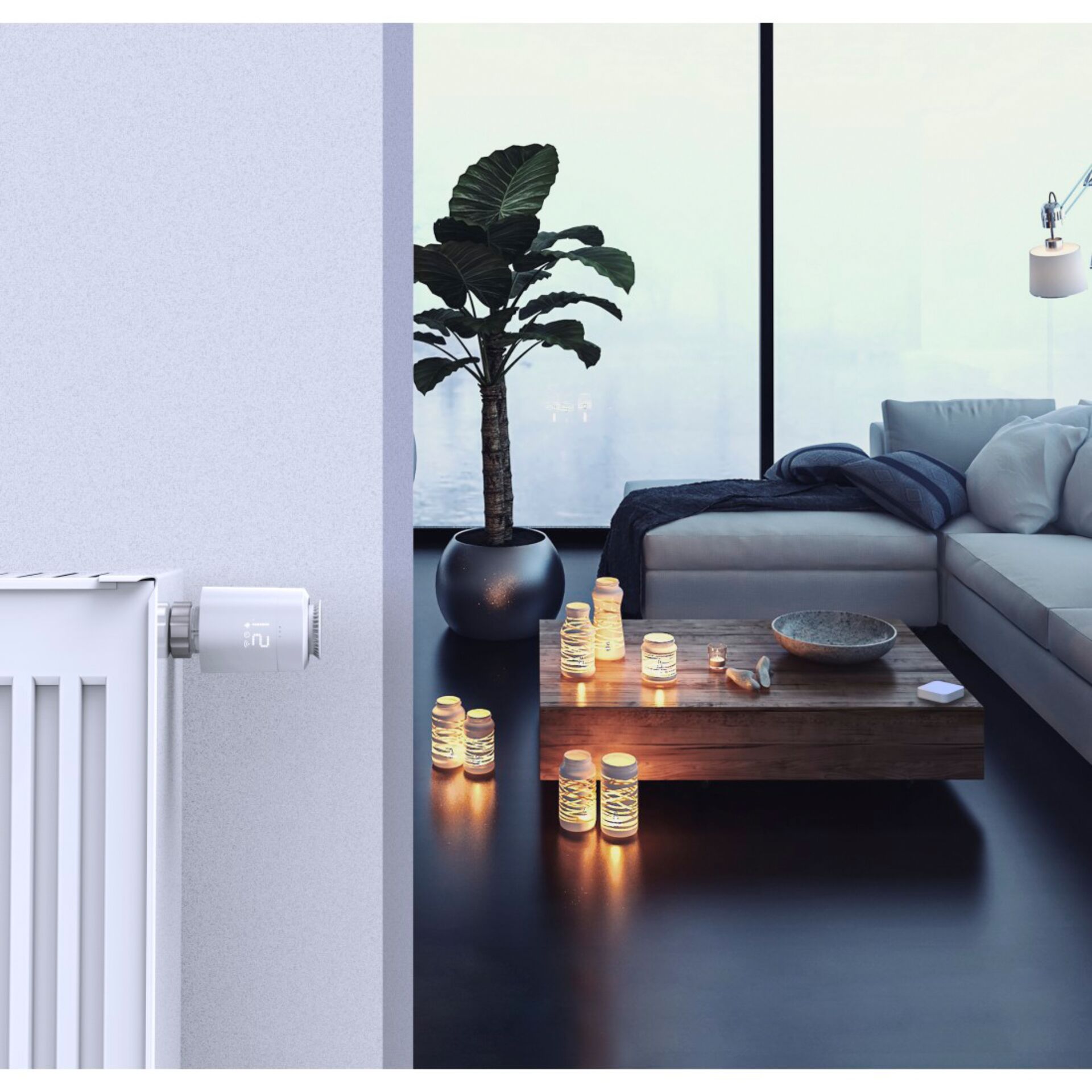 Kaffeetisch, Tabelle, Innenarchitektur, Wohnzimmer, Topfpflanze