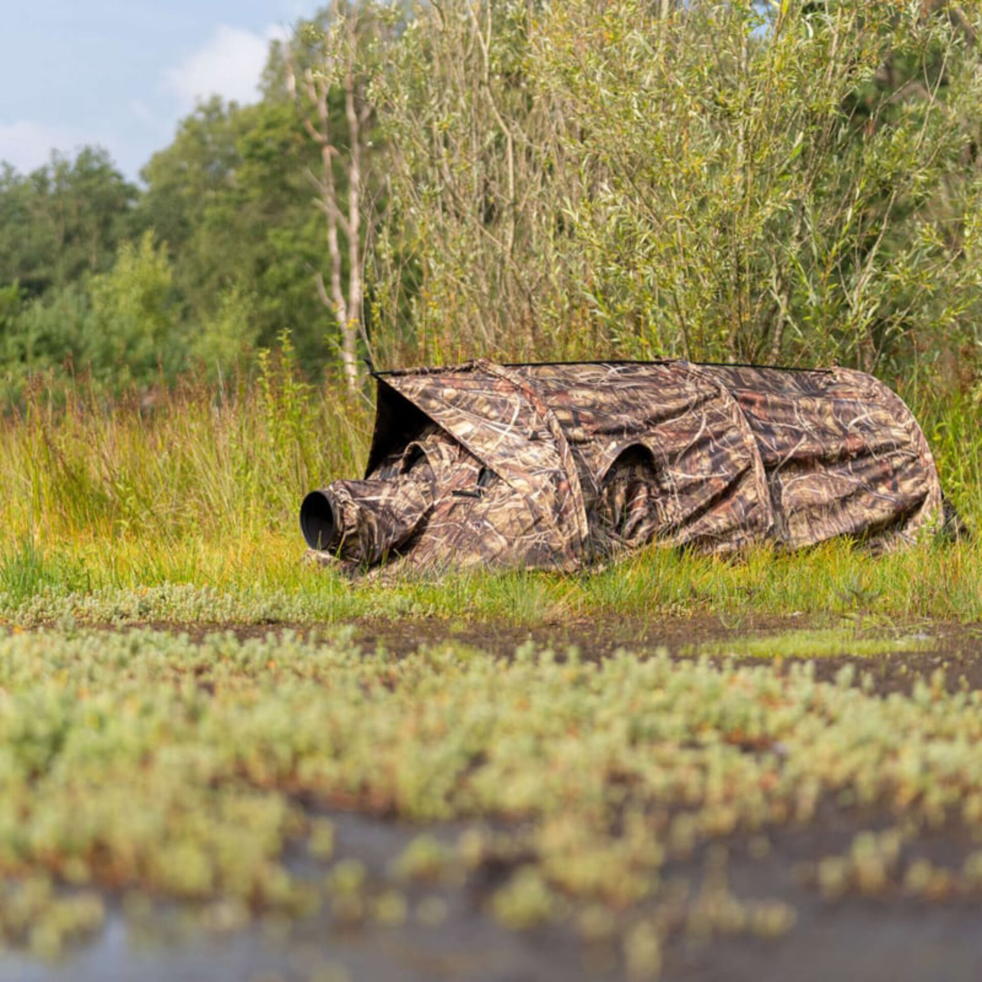 Pflanze, Bewuchs, Land, Natur, Im Freien