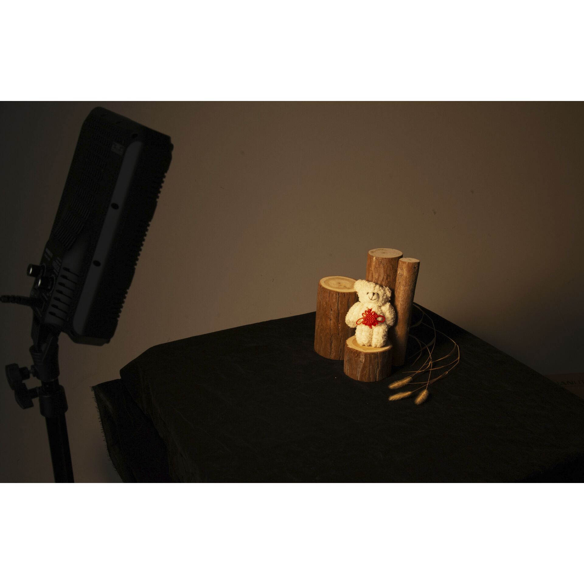 Elektrisches Gerät, Mikrophon