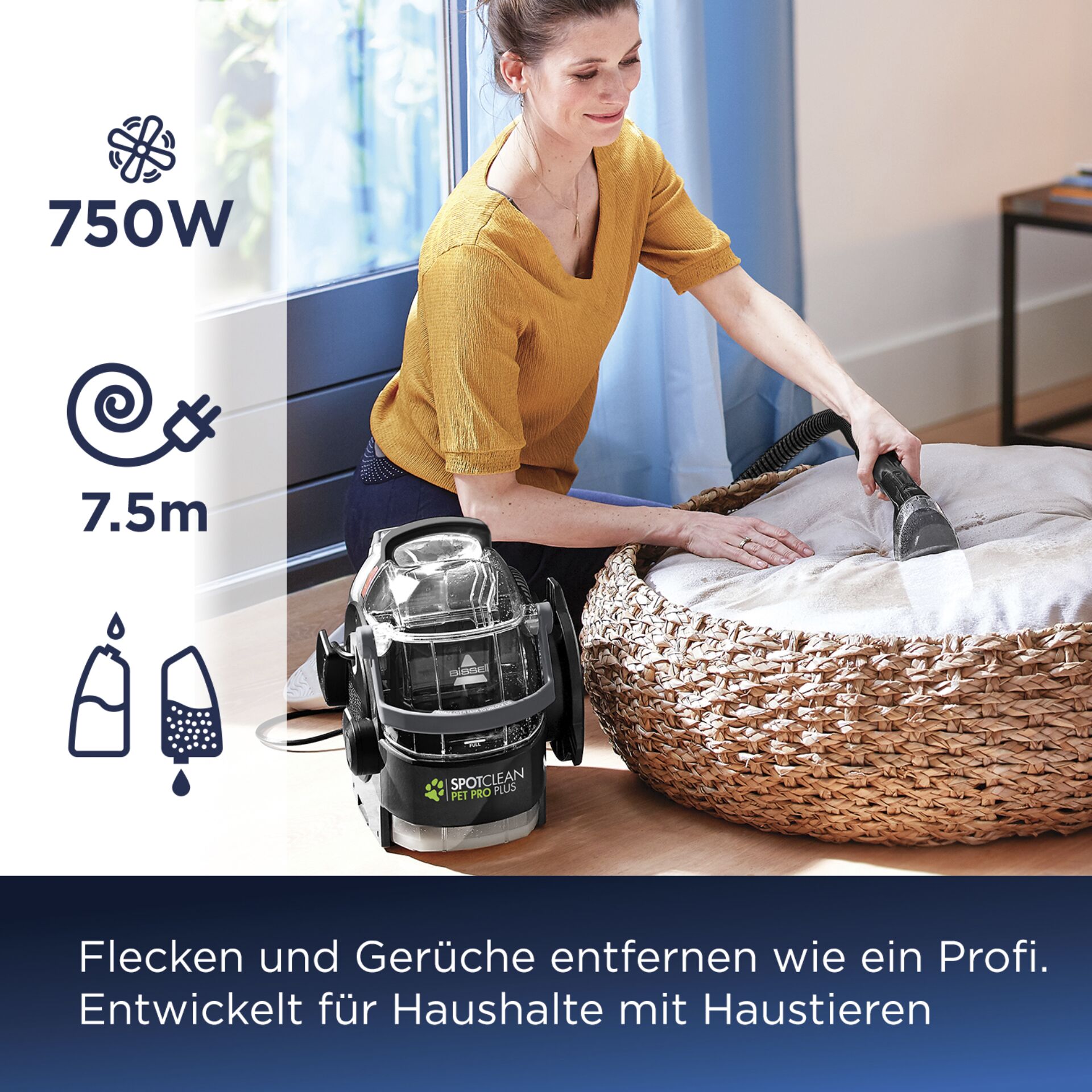 Reinigen, Person, Mobiliar