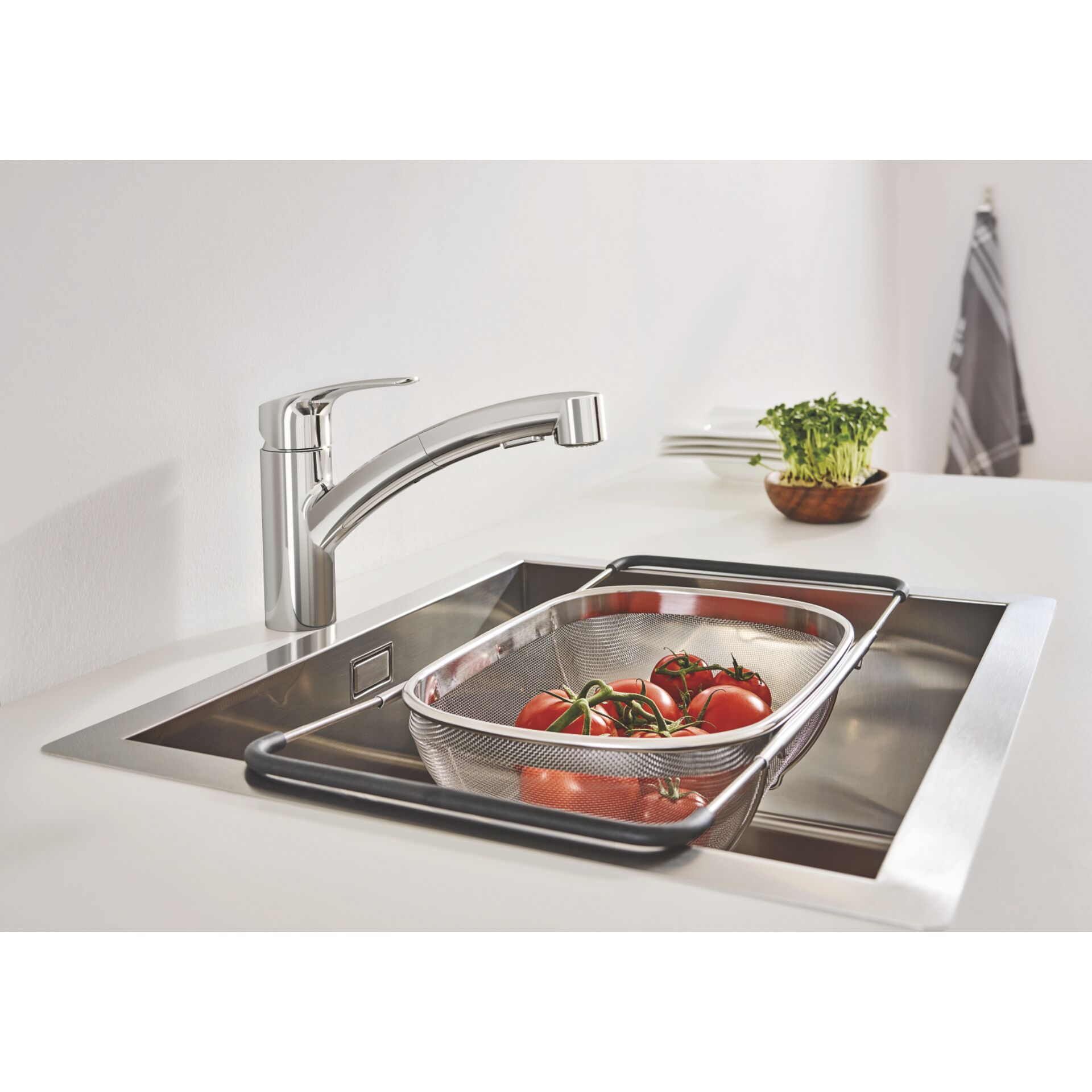 Sinken, Waschbeckenhahn, Pflanze