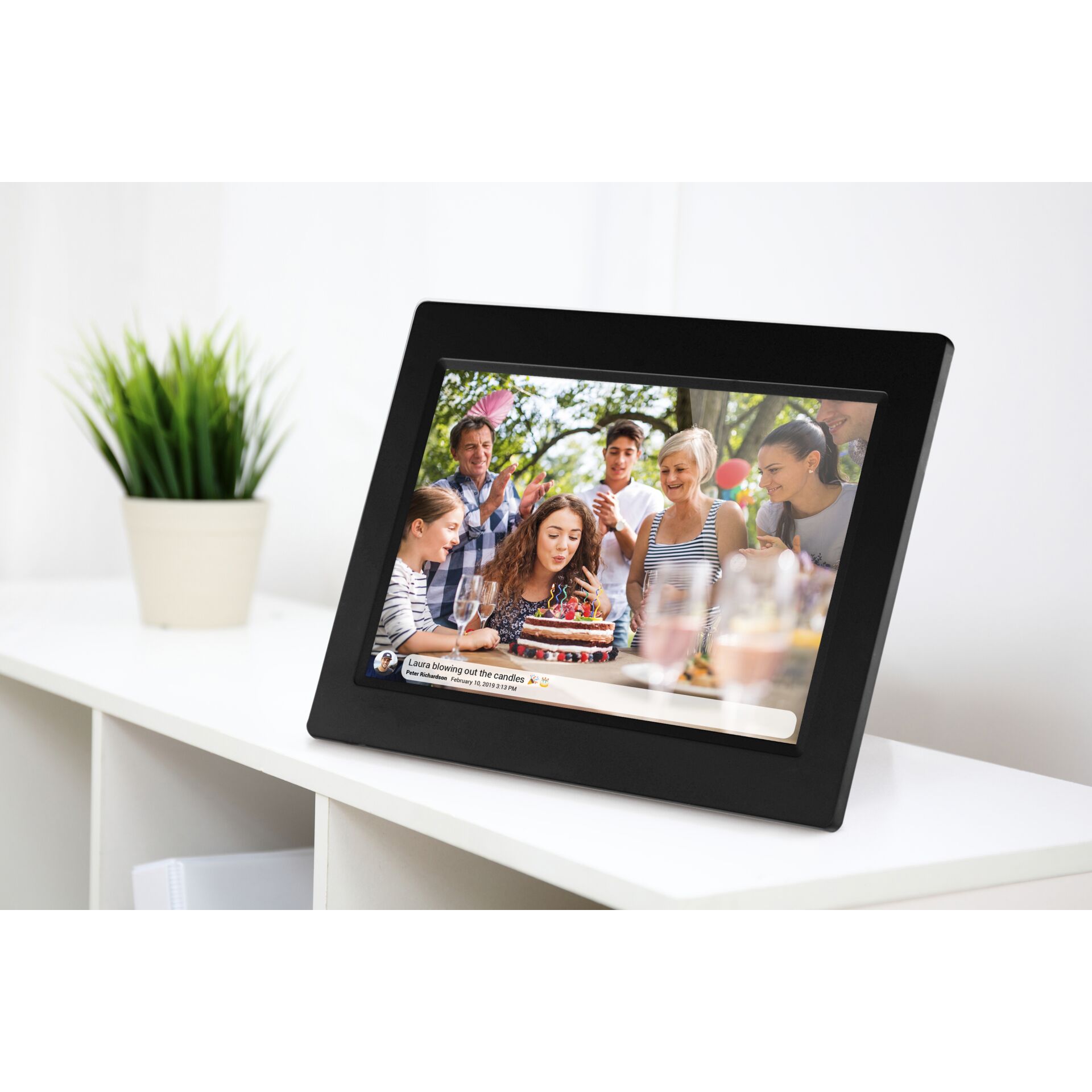 Person, Pflanze, Überwachen, Bildschirm, Fotorahmen