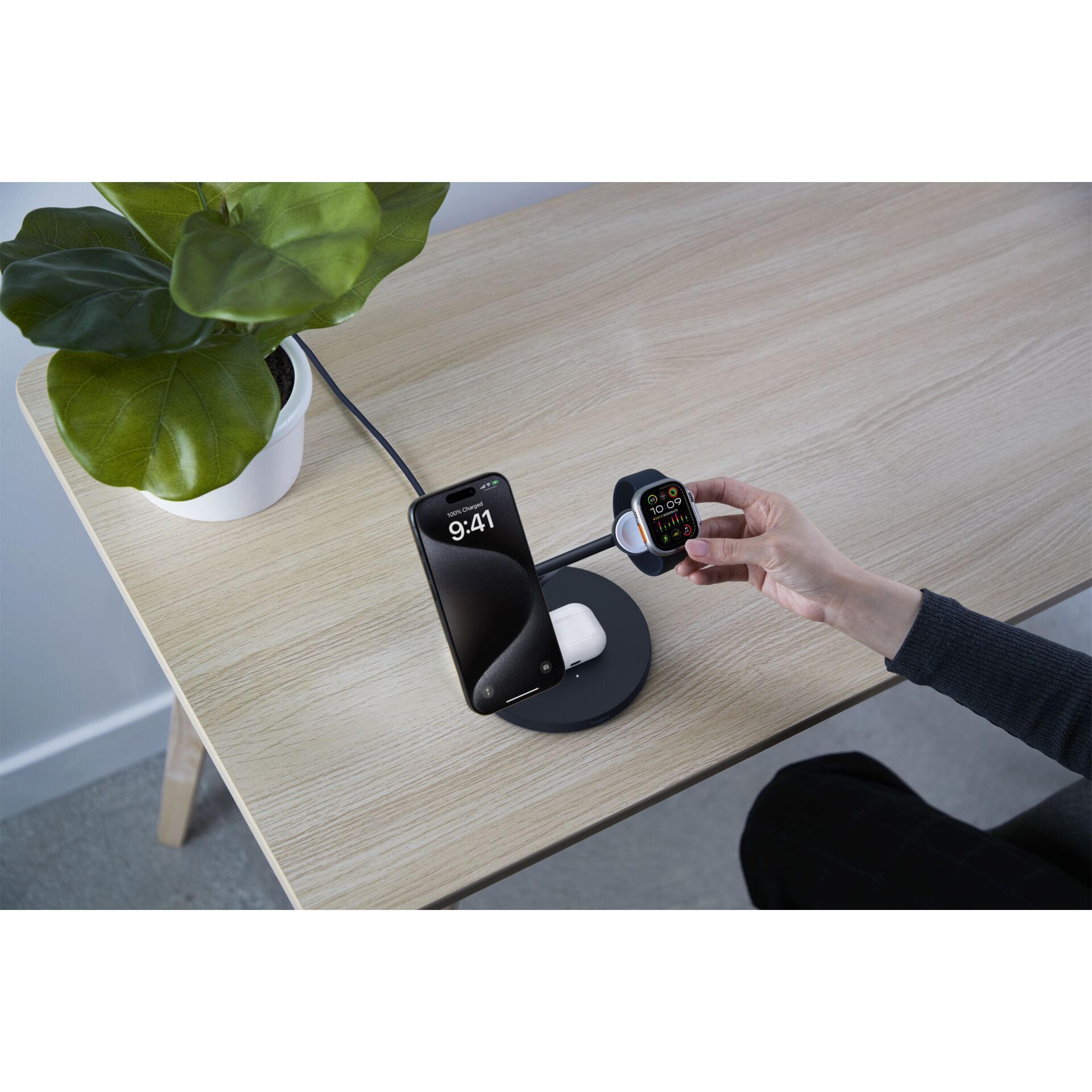 Pflanze, Mobiliar, Tabelle