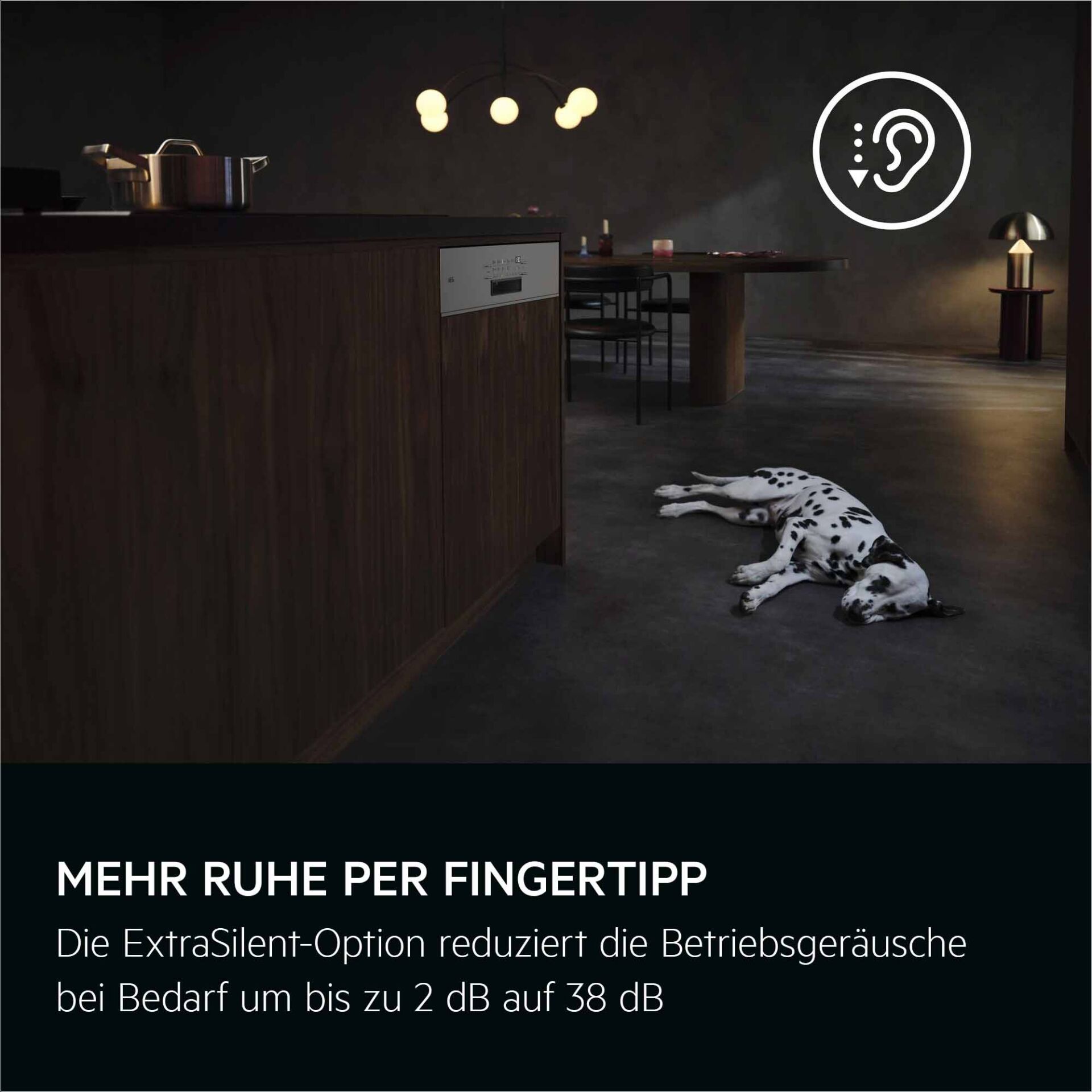 Drinnen, Innenarchitektur, Hund, Haustier