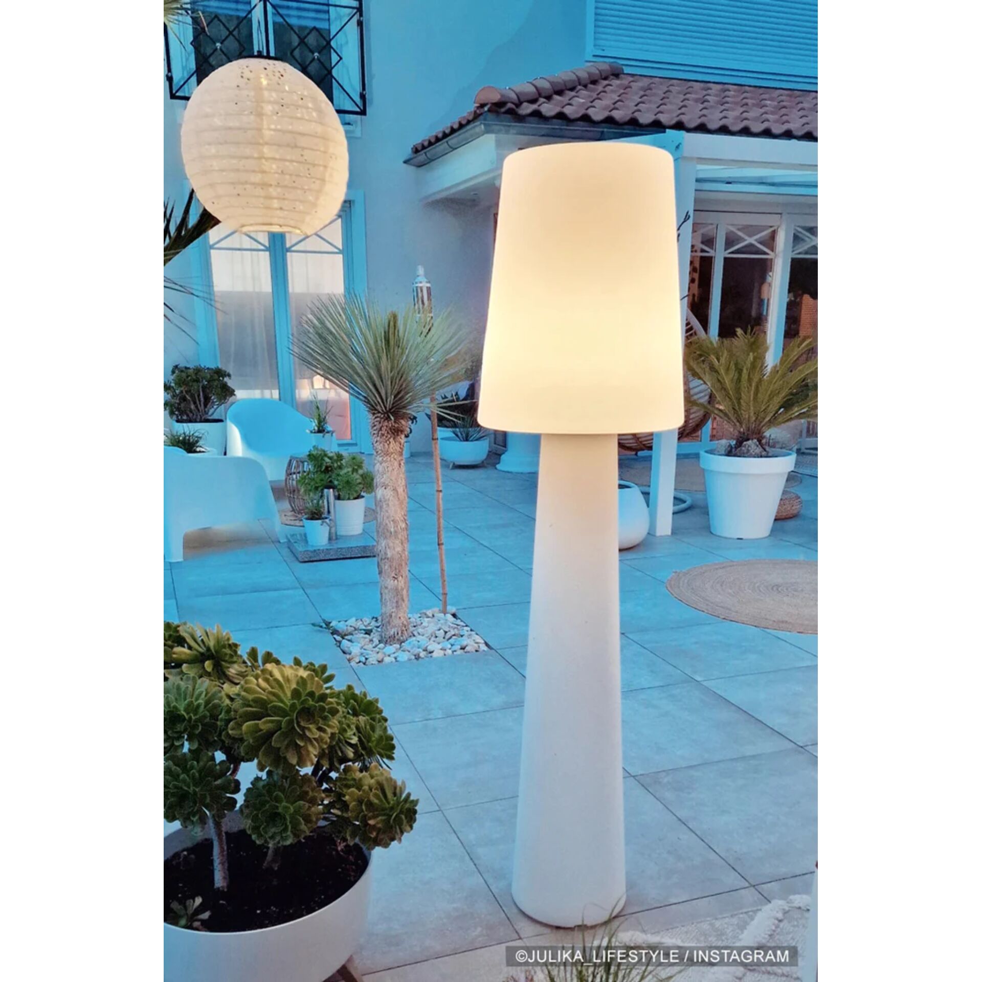 Lampe, Pflanze, Dekoration für Zuhause, Teppich, Topfpflanze