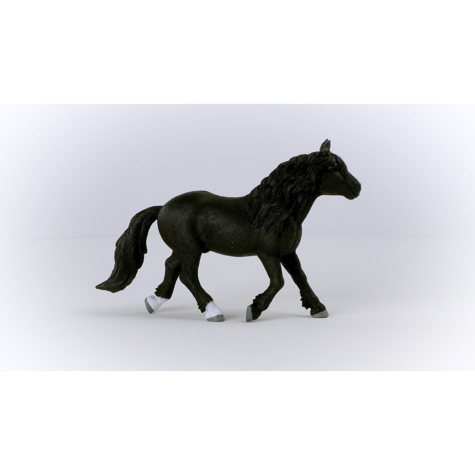 Tier, Pferd, Säugetier, Colt Horse, Andalusisches Pferd