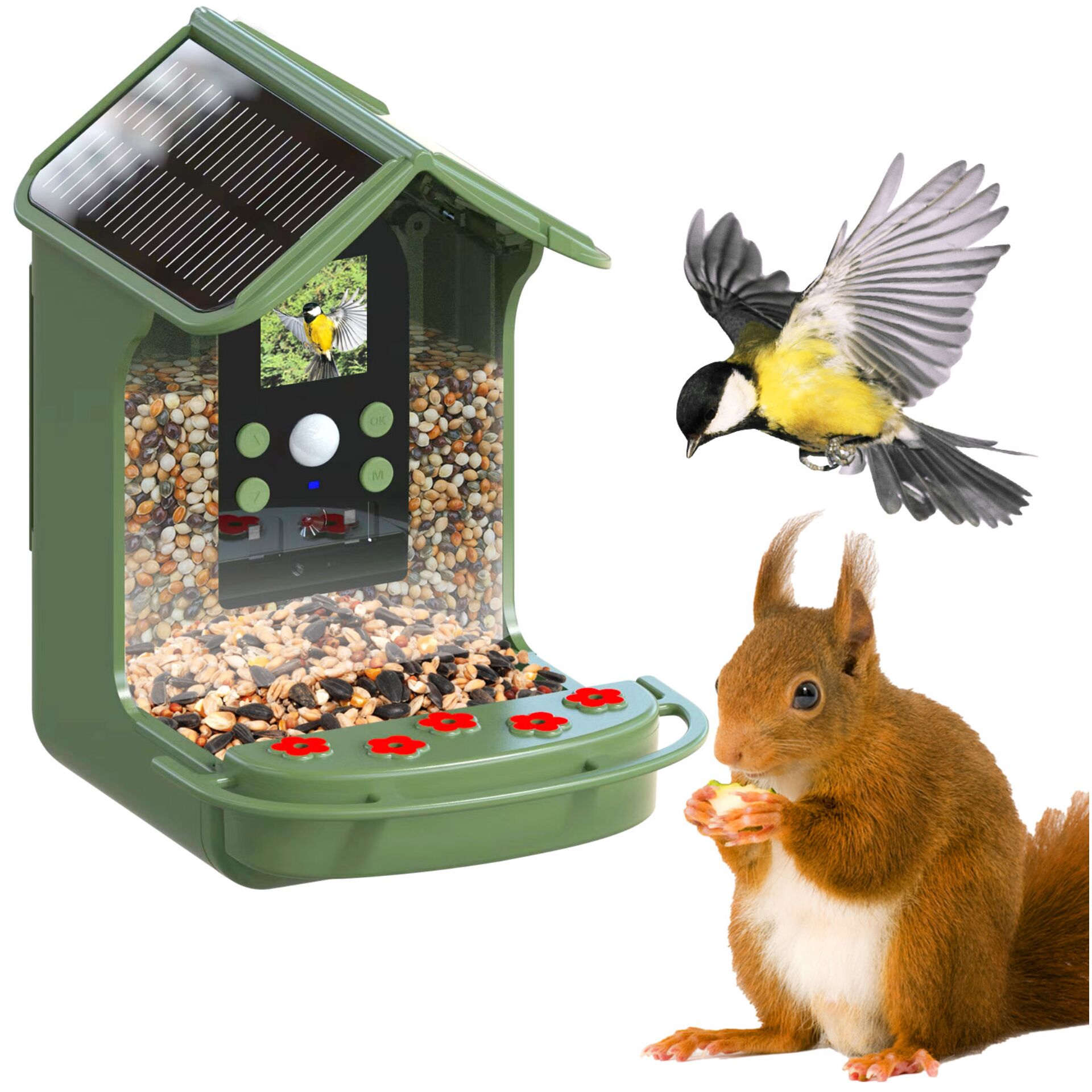 Tier, Vogel, Ratte, Nagetier, Futterhäuschen für Vögel