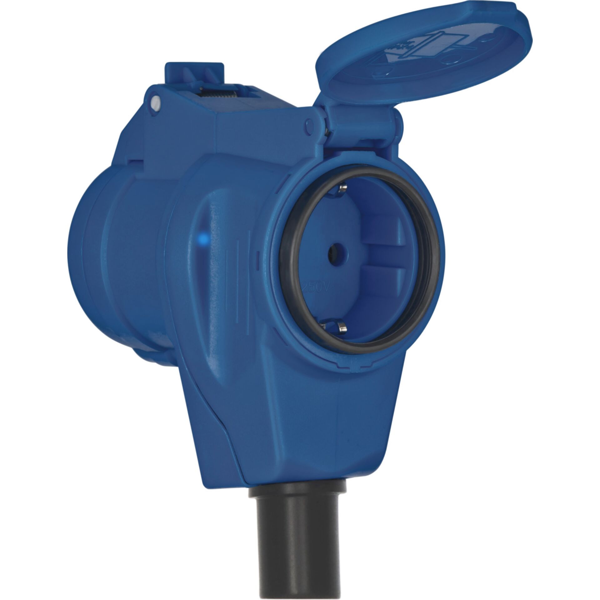 Schutzkontaktstecker, IP44 Schutz, Blauer Stecker, Schukostecker, Gartenstecker