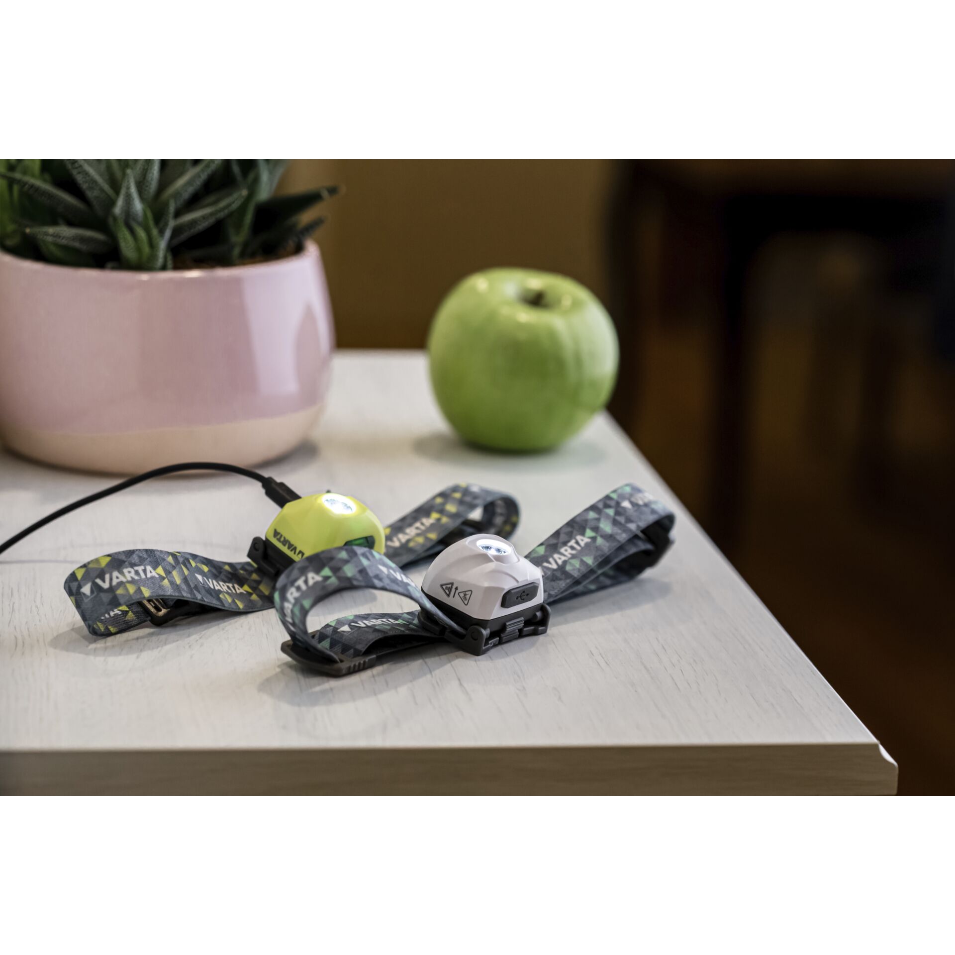 Pflanze, Pflanze im Topf, Apfel, Obst, Tabelle