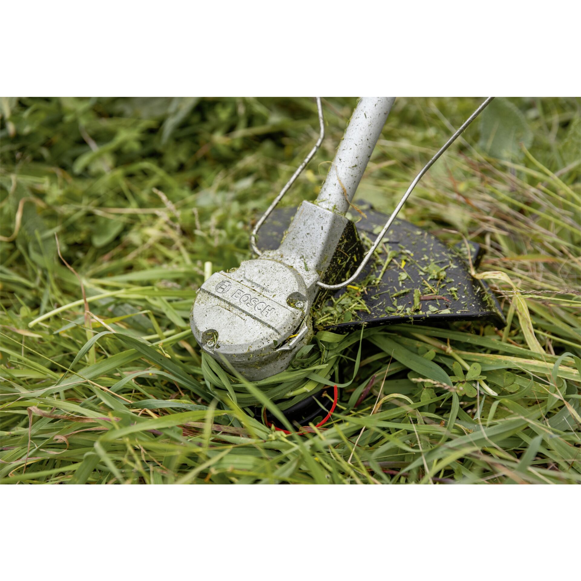 Gras, Pflanze, Rasen, Granate, Gerät