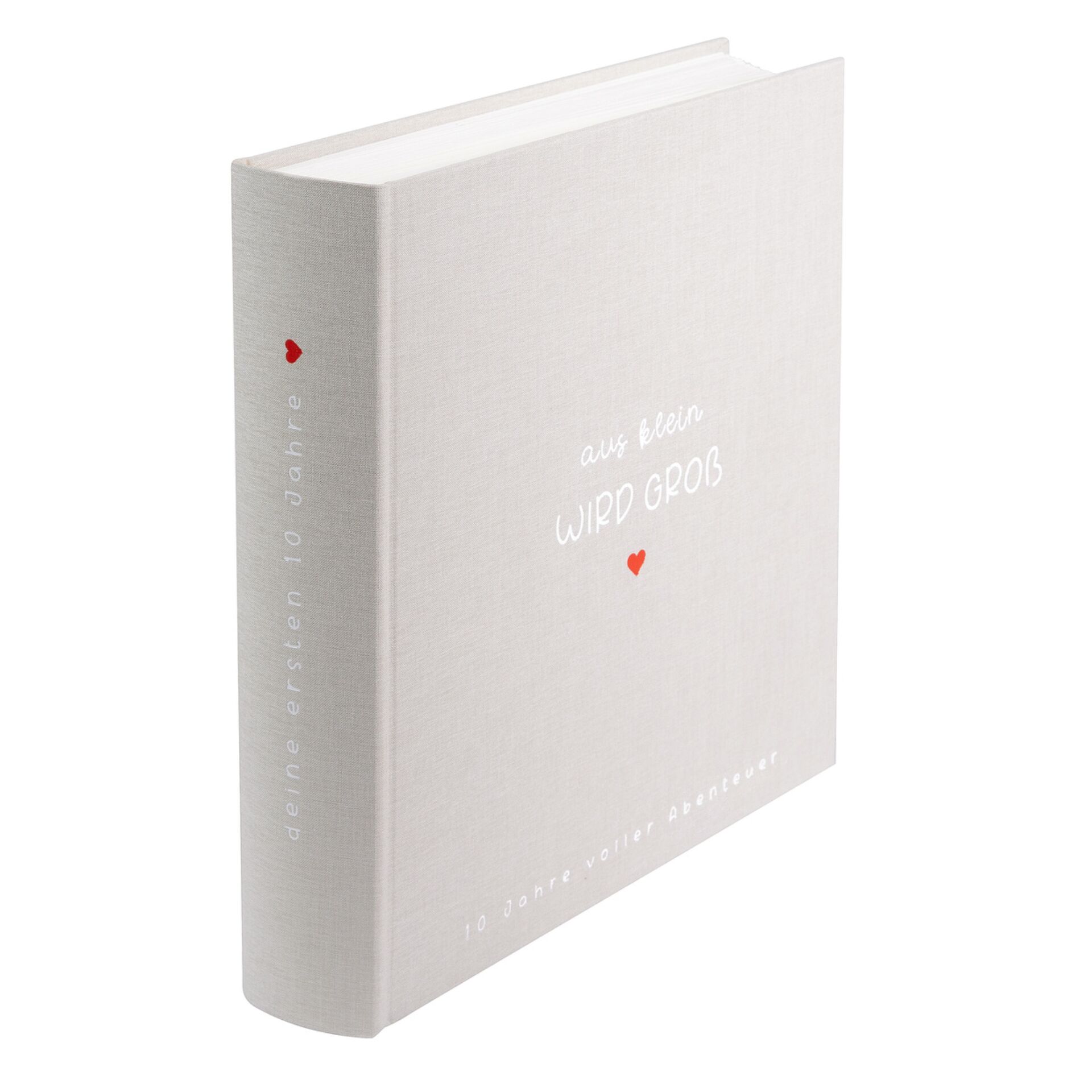 Buch, Veröffentlichung